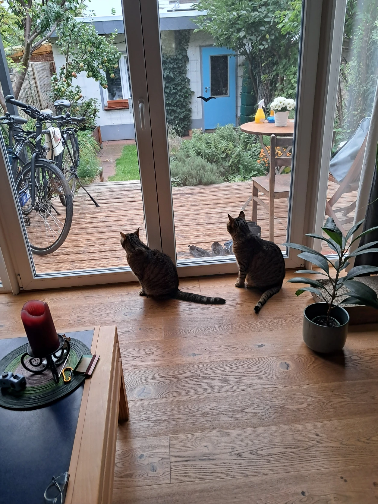 image-16