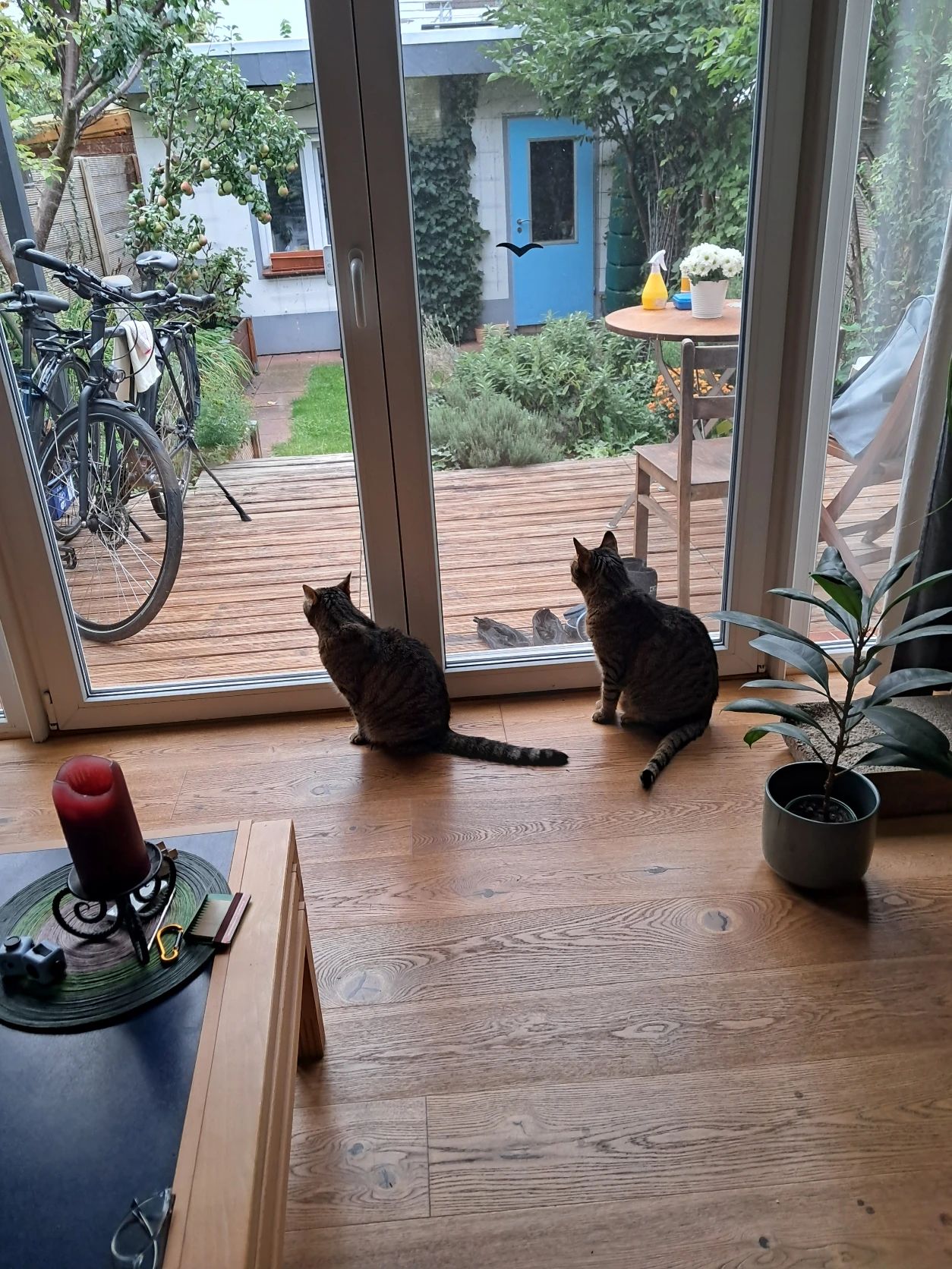 image-16