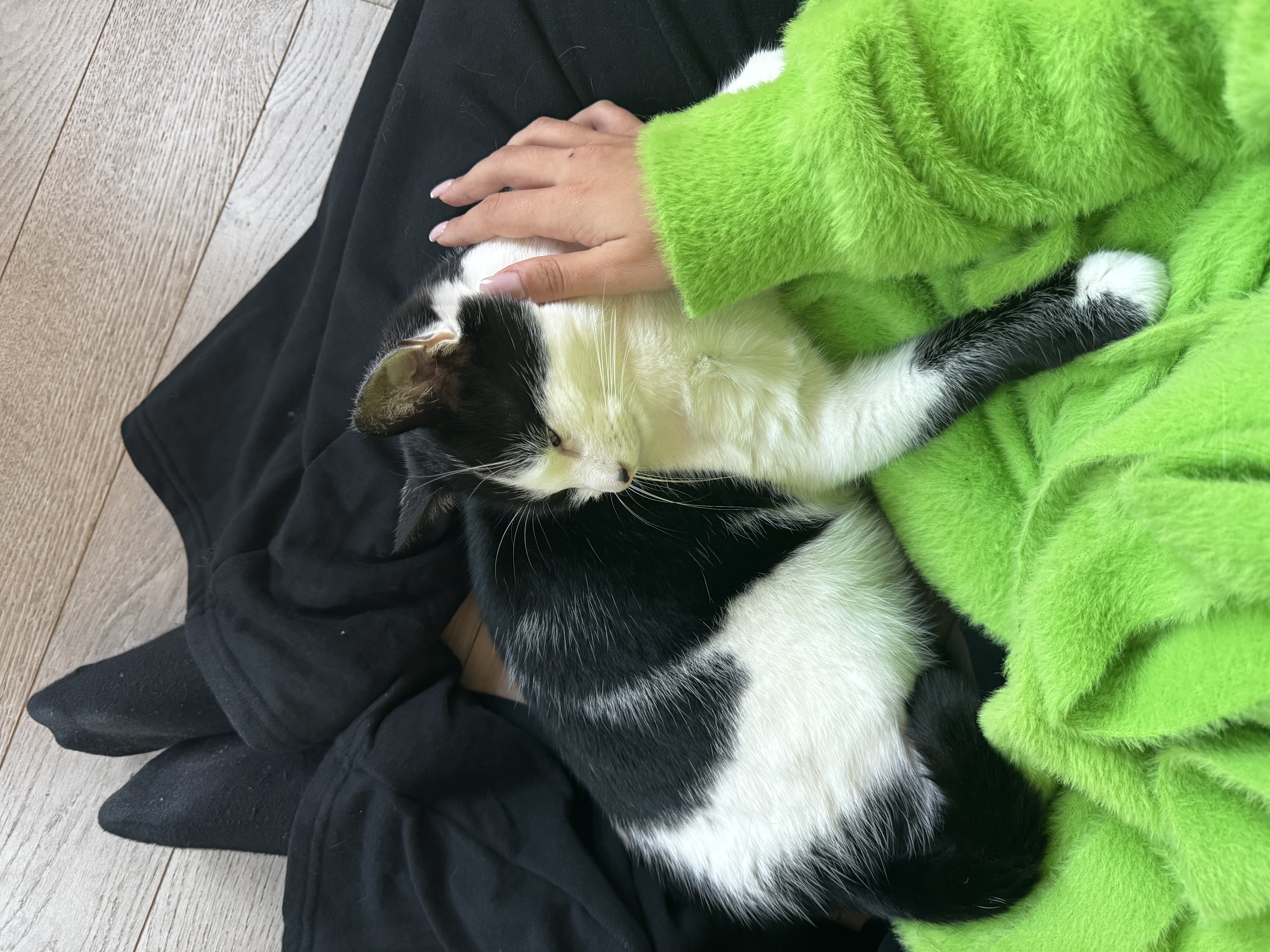 image-12