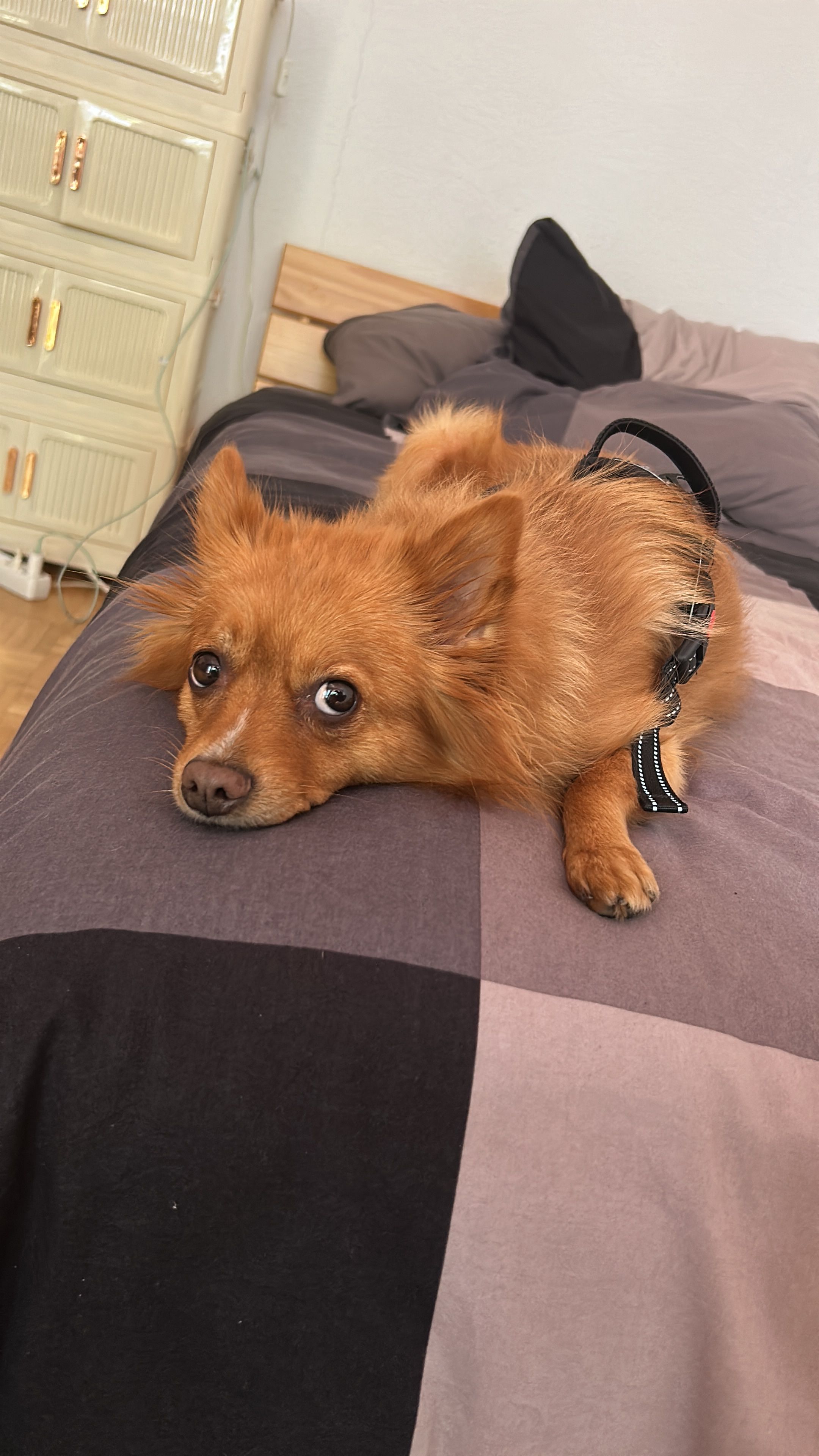 image-27