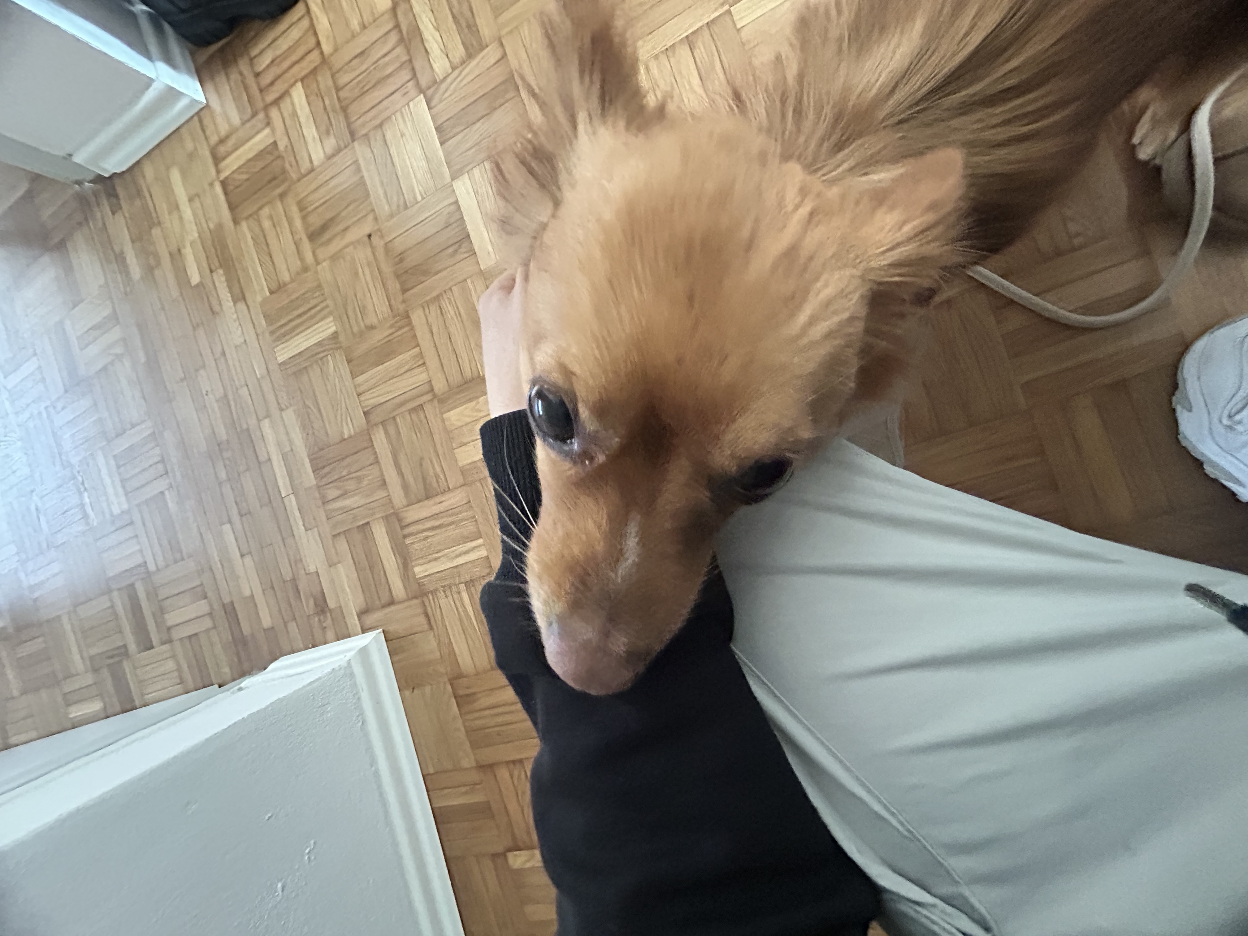 image-12