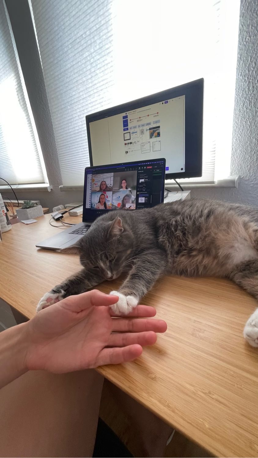 image-6