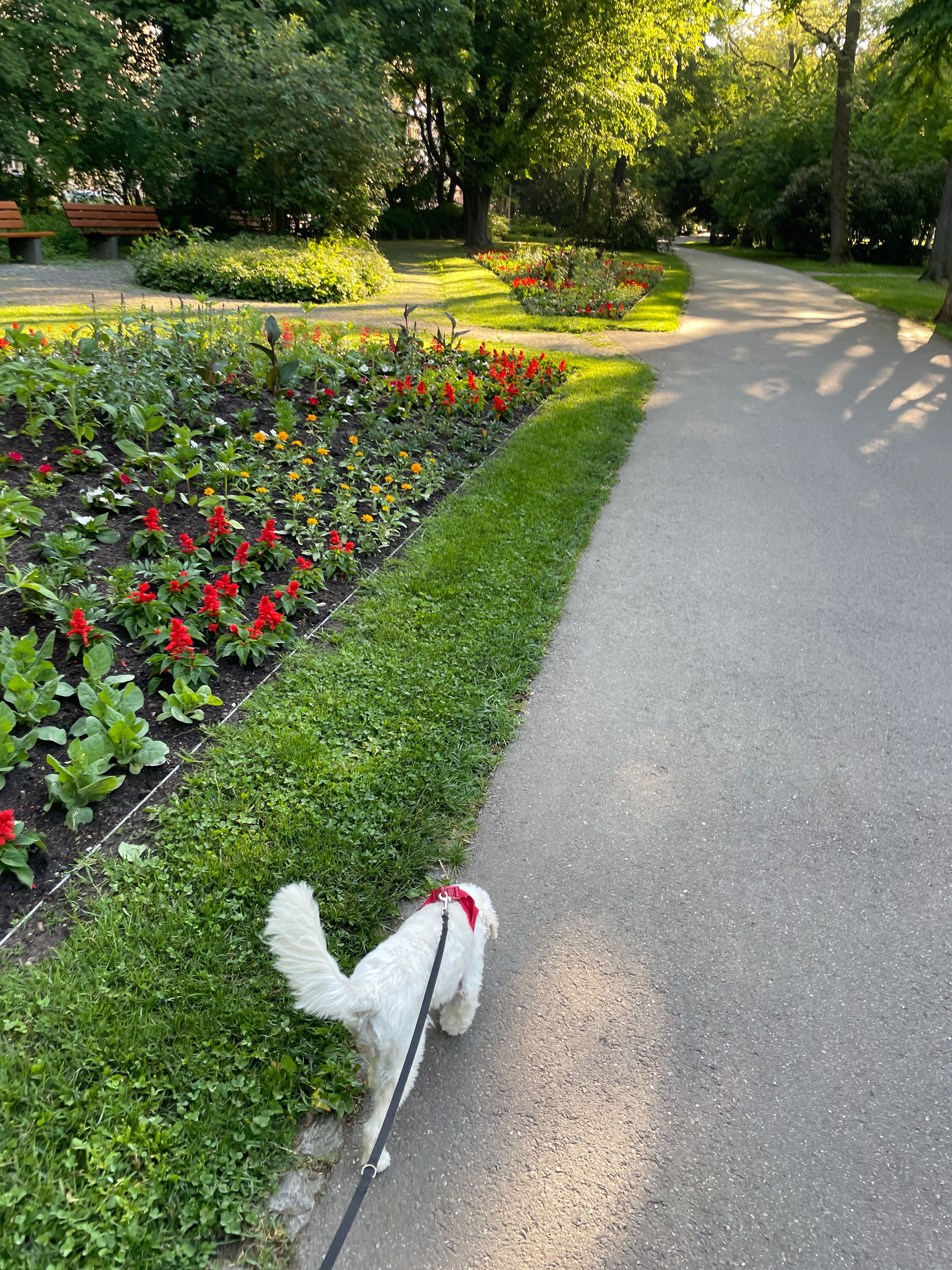 image-14