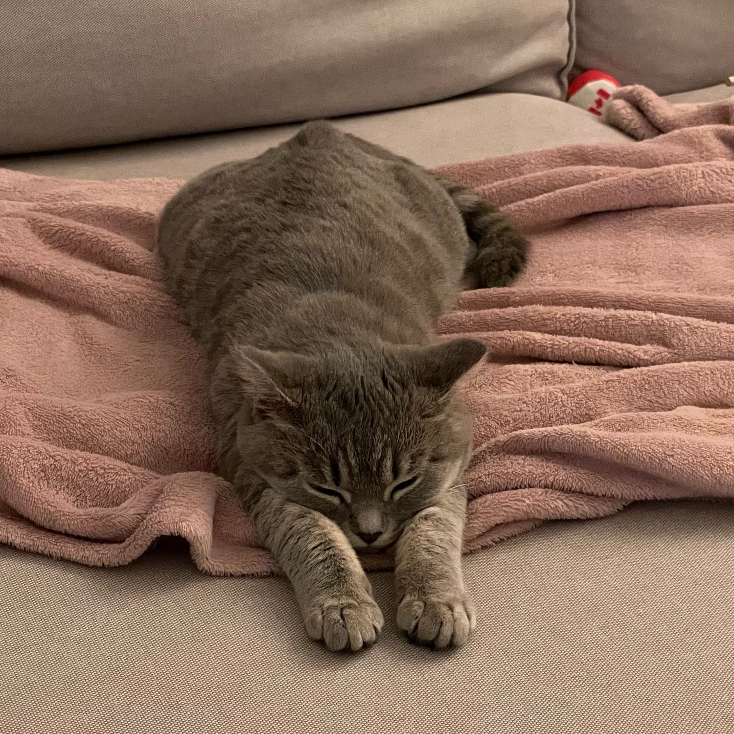 Luna