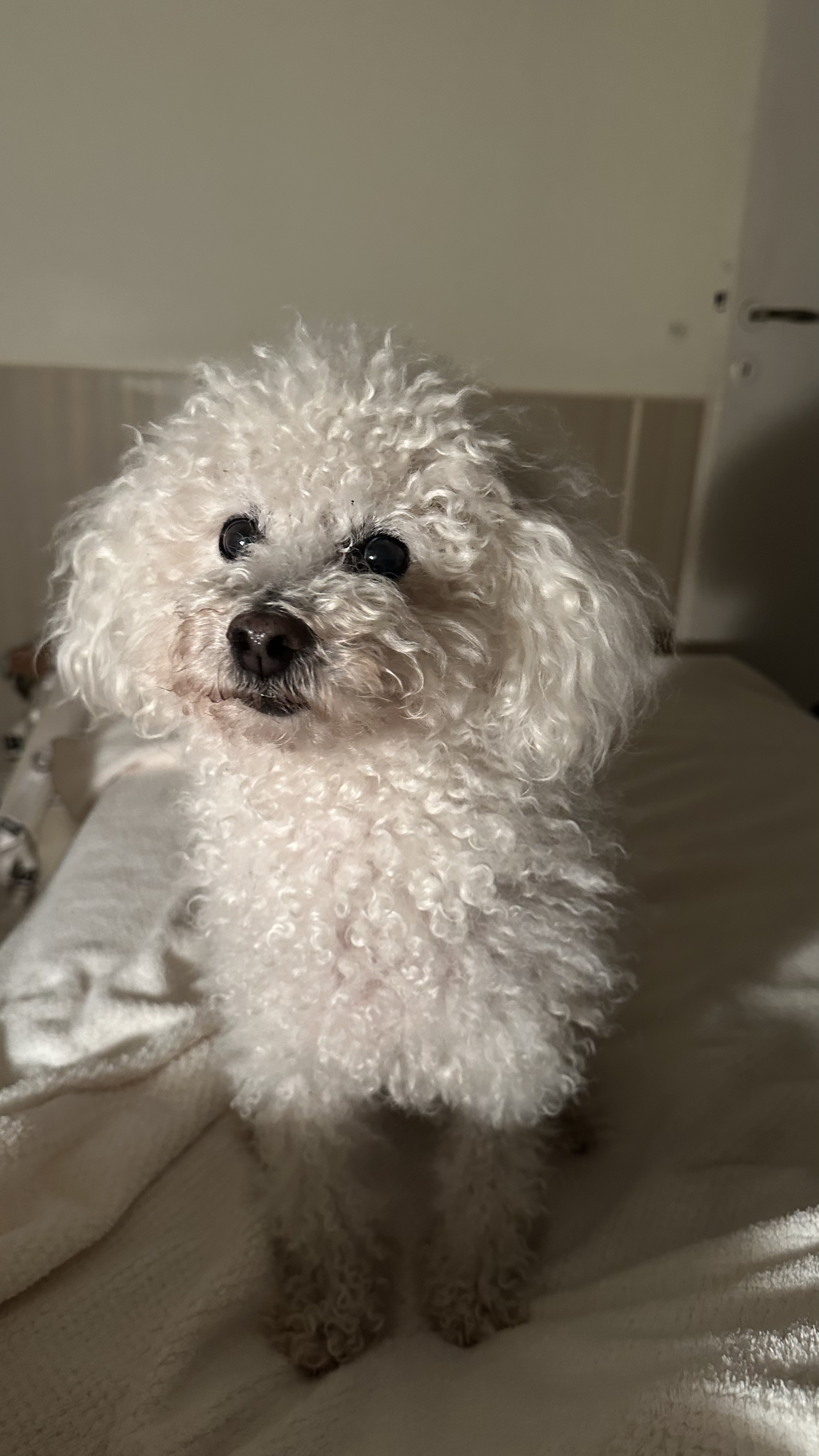 image-38
