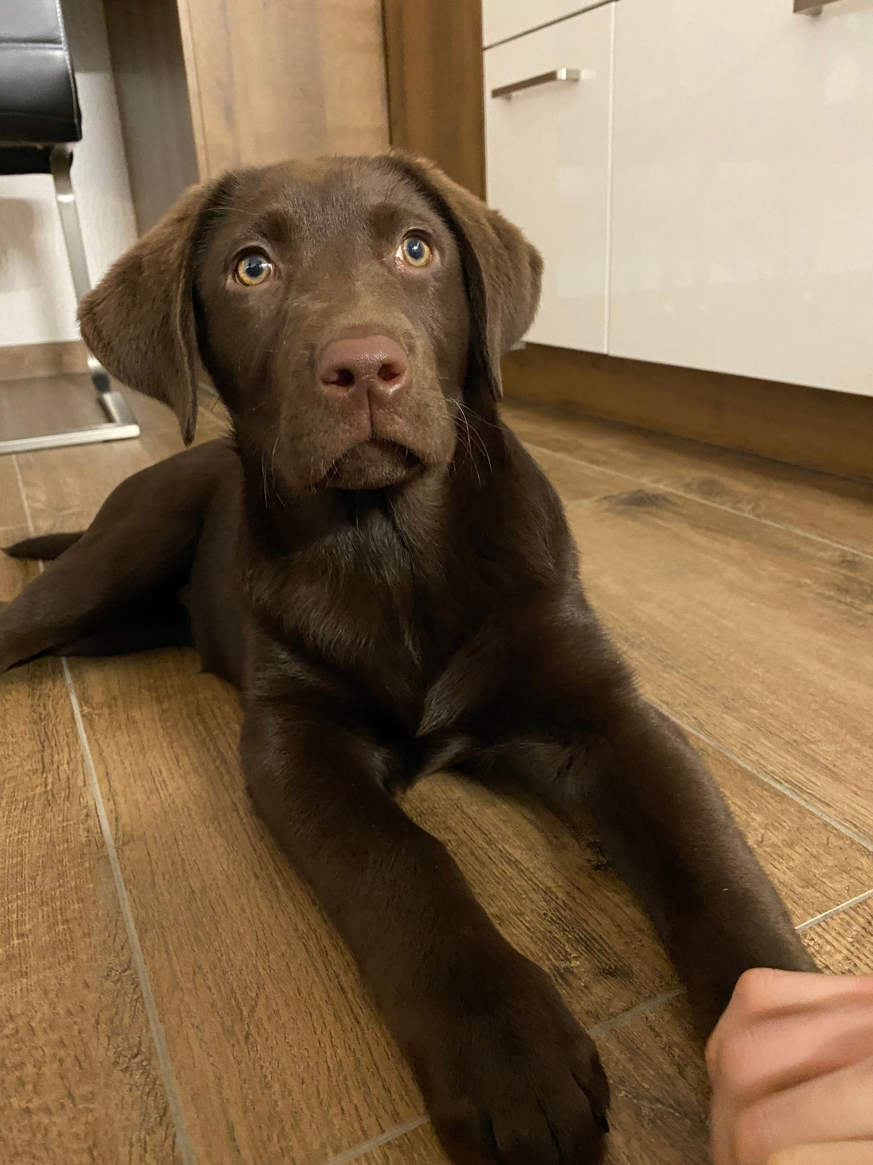 image-3