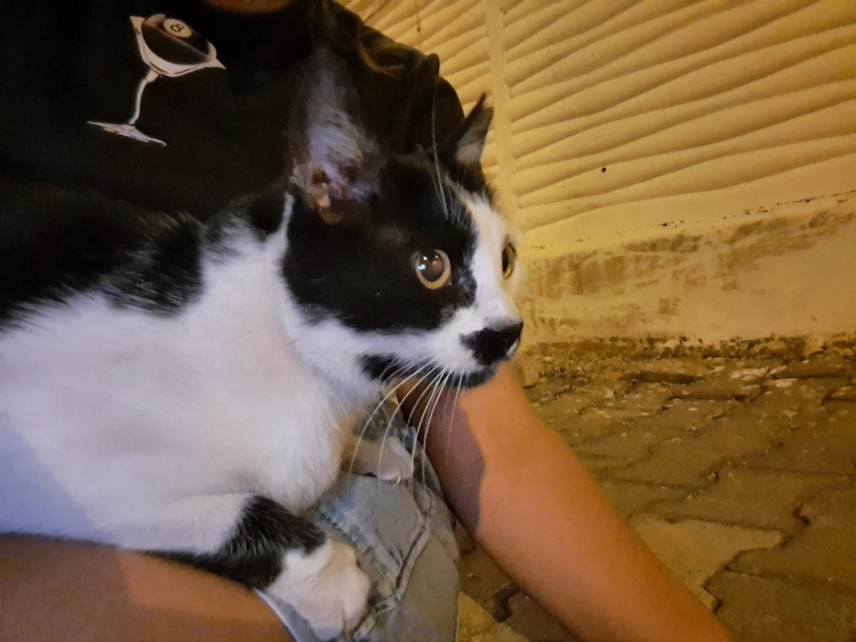 image-8