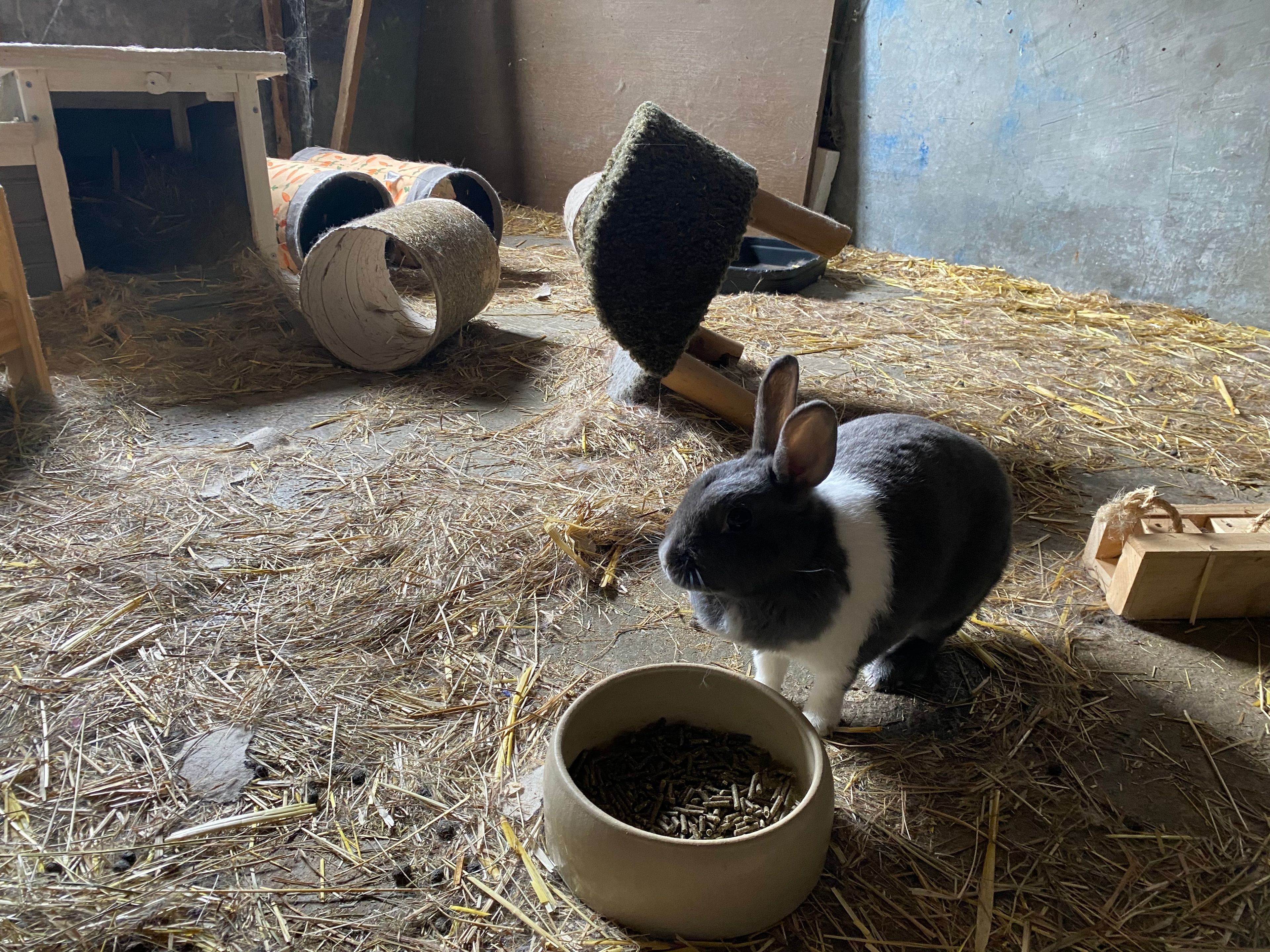 image-16