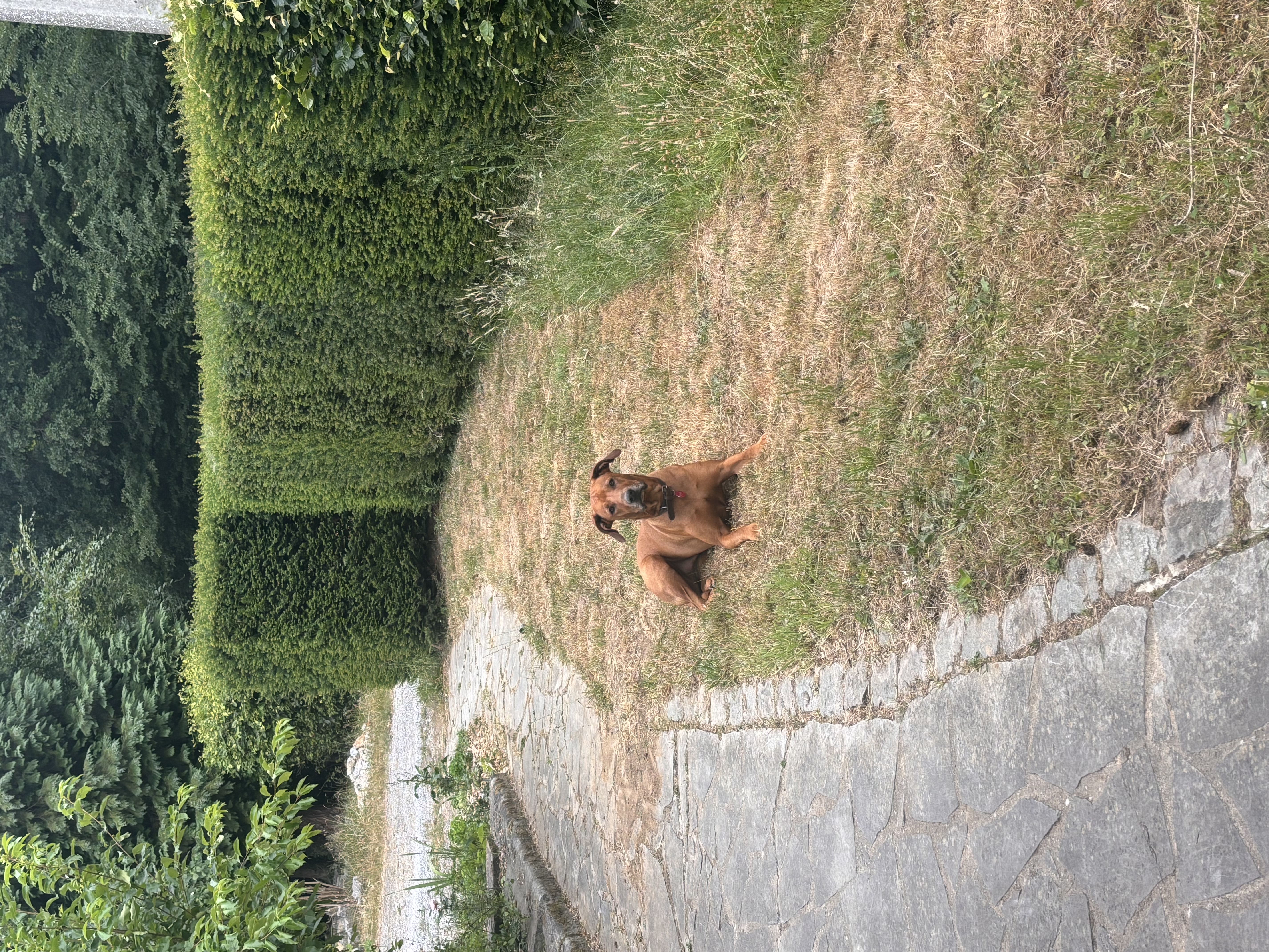 image-13