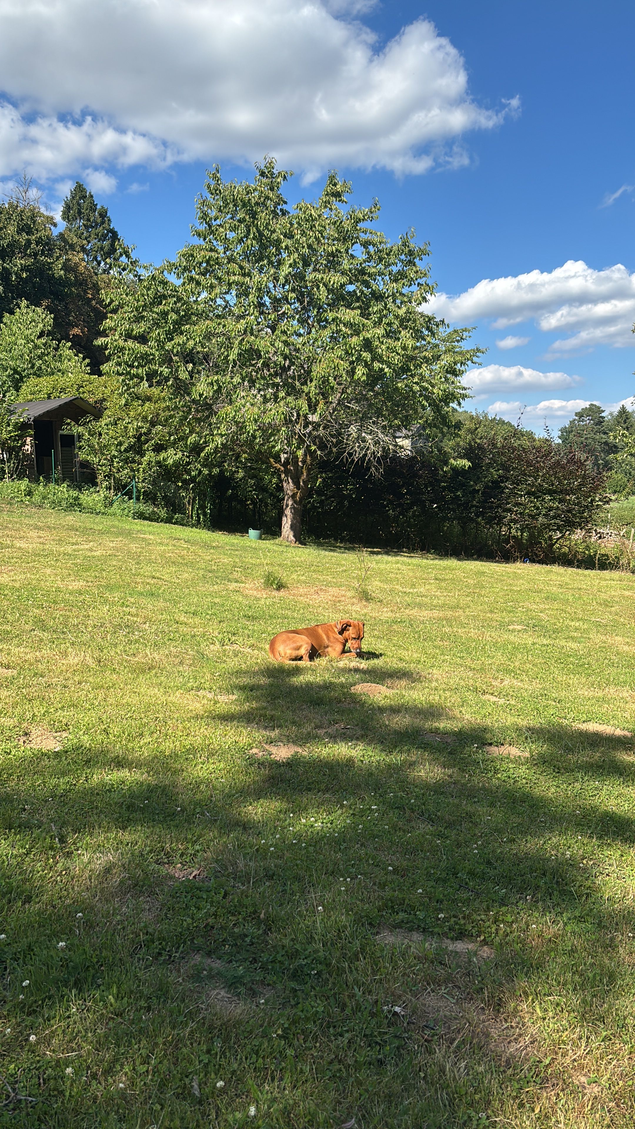 image-15