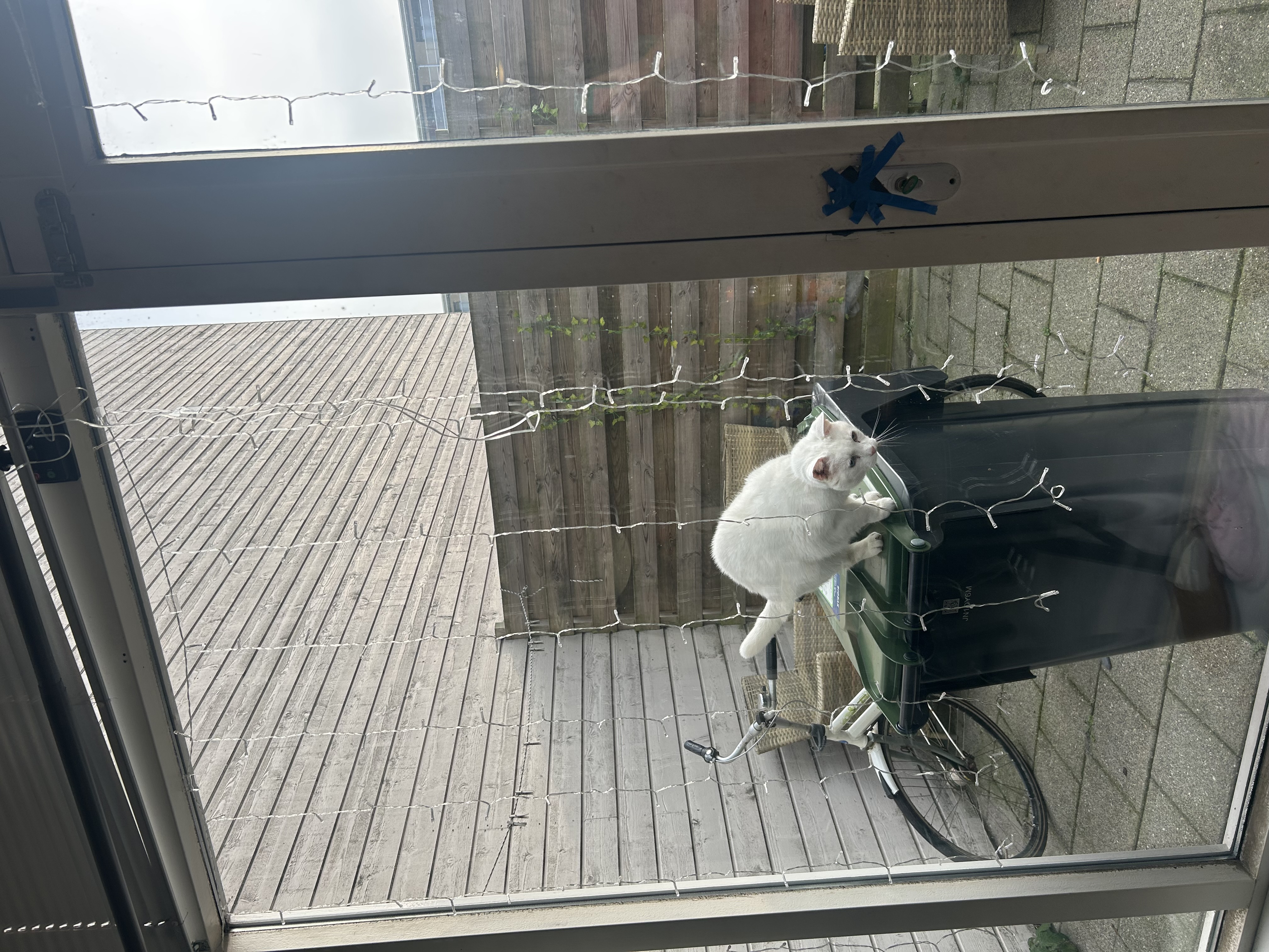 image-19