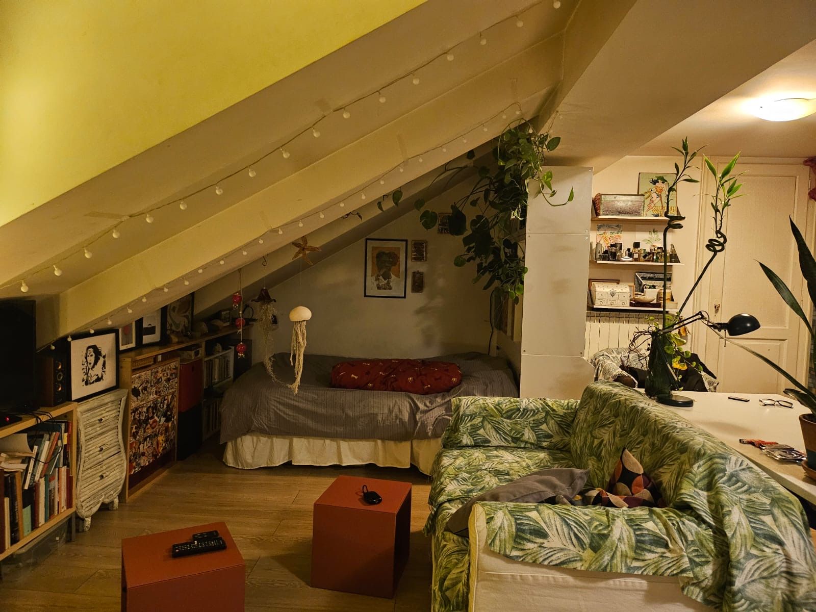image-7