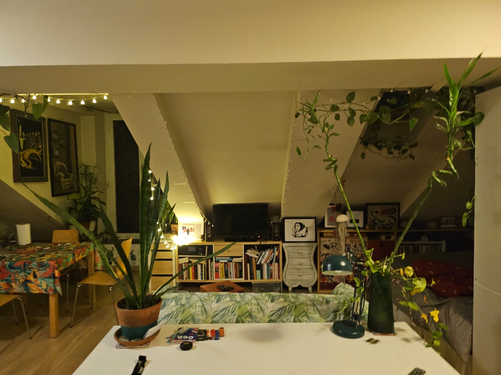 image-5