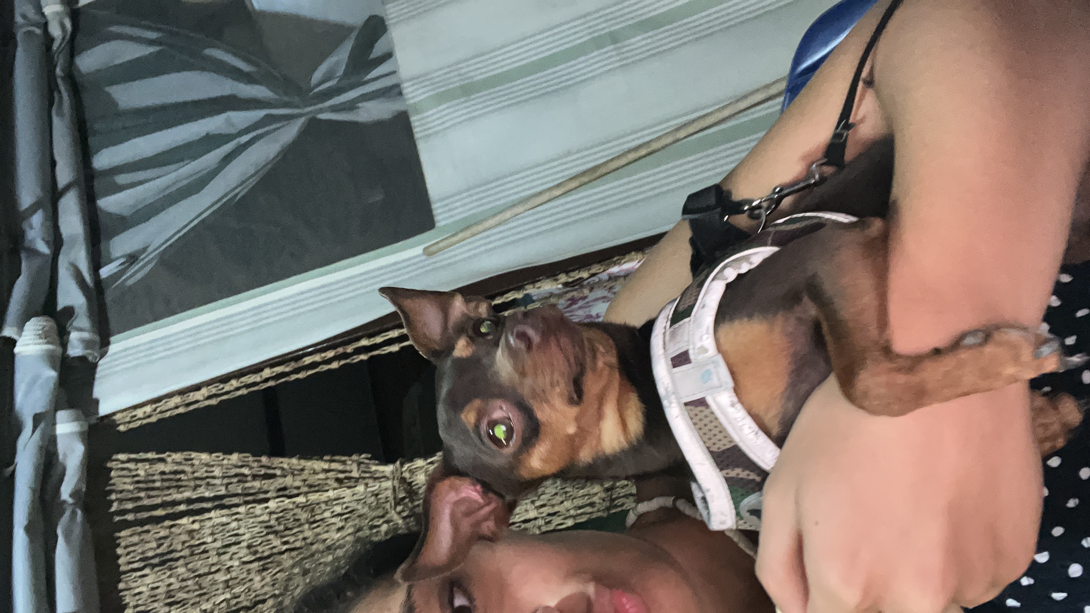 image-8