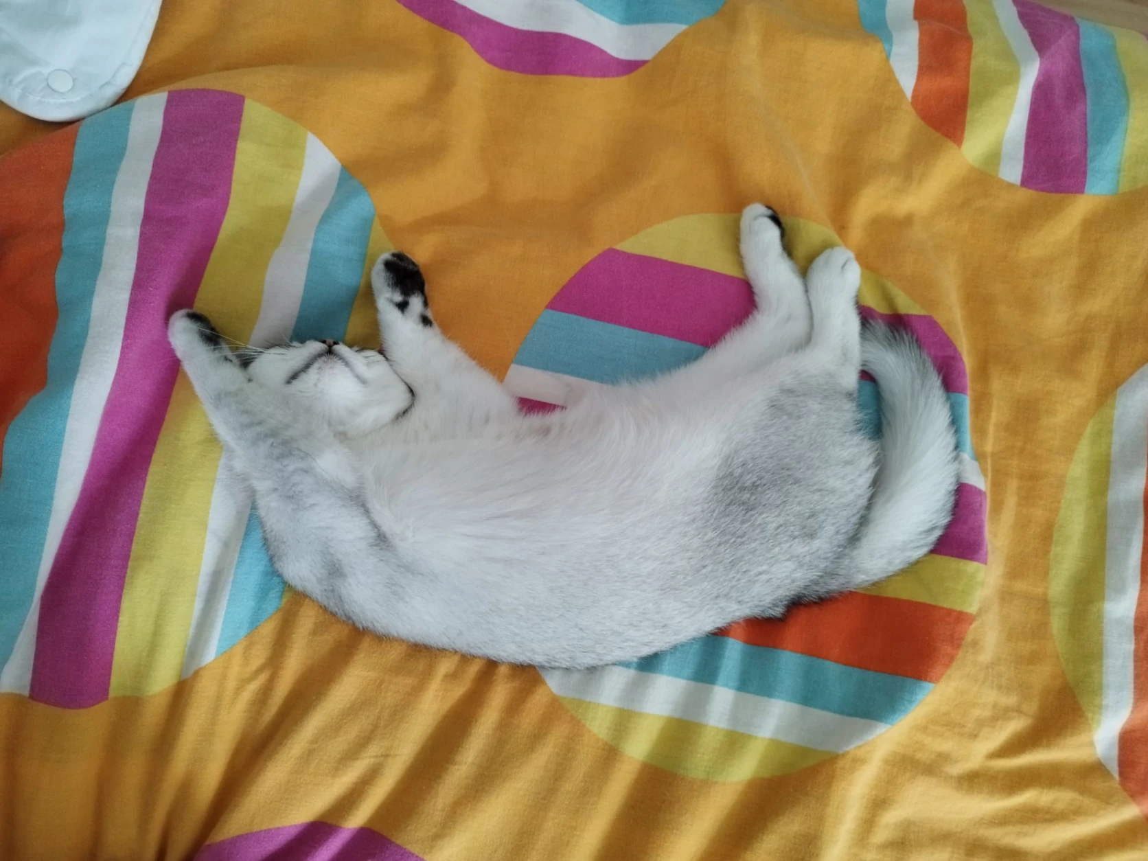 image-9