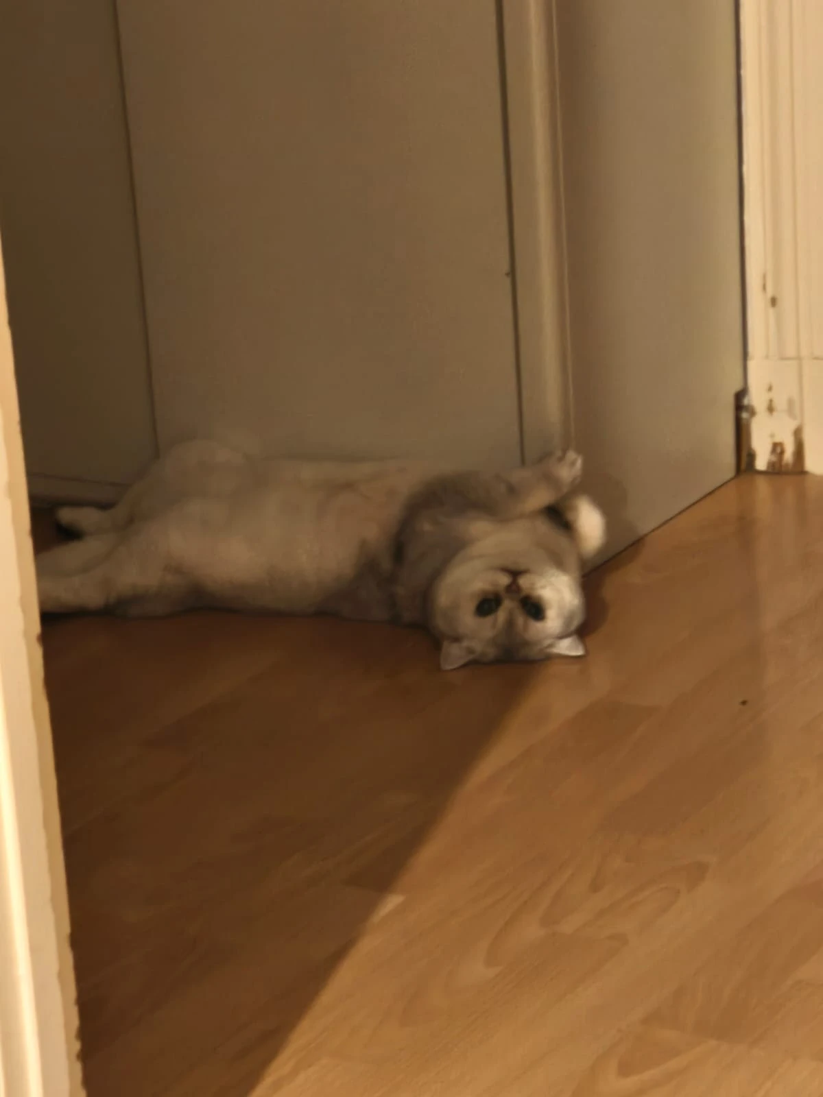 image-4