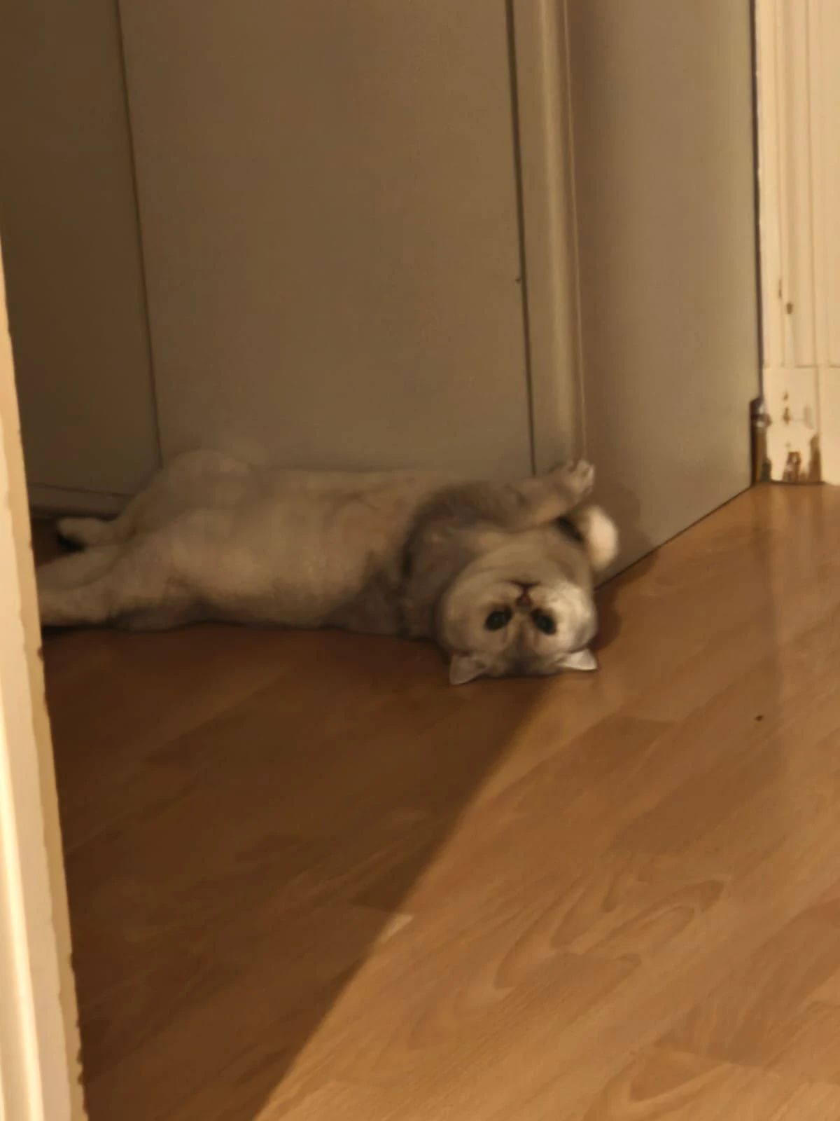 image-4