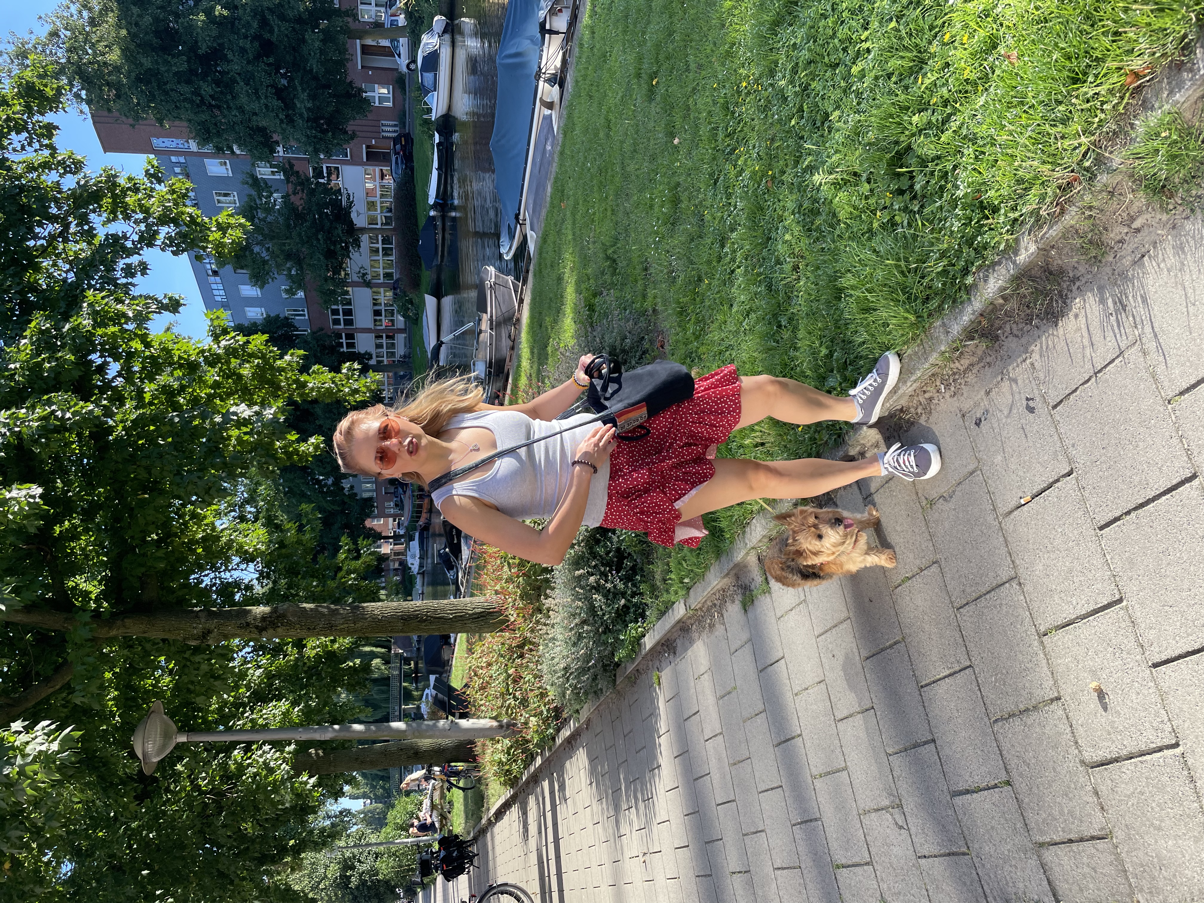 image-16