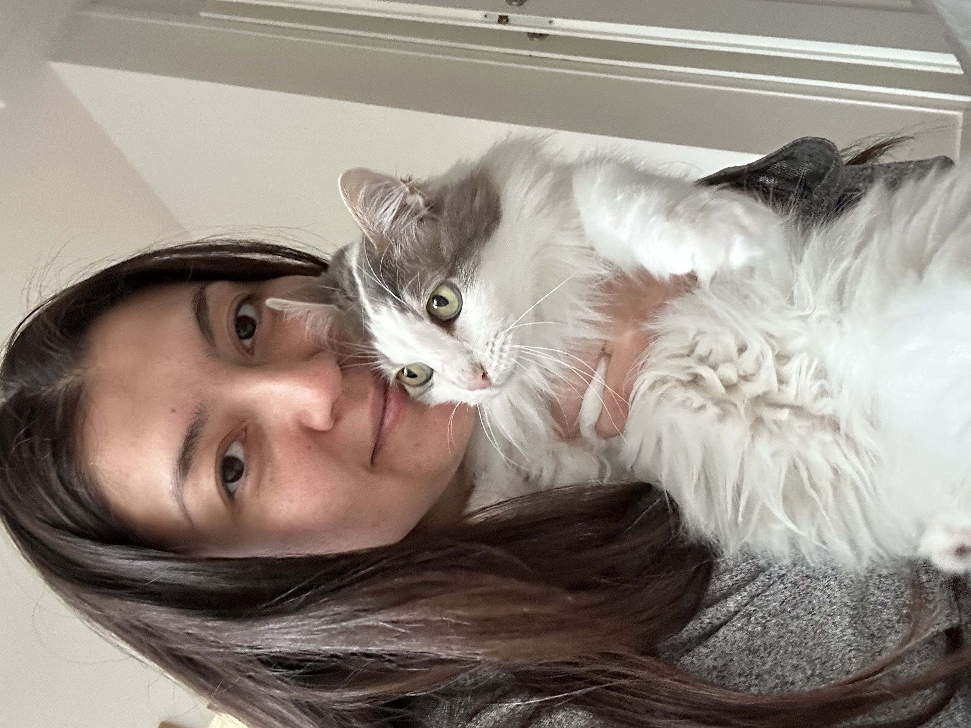 image-11