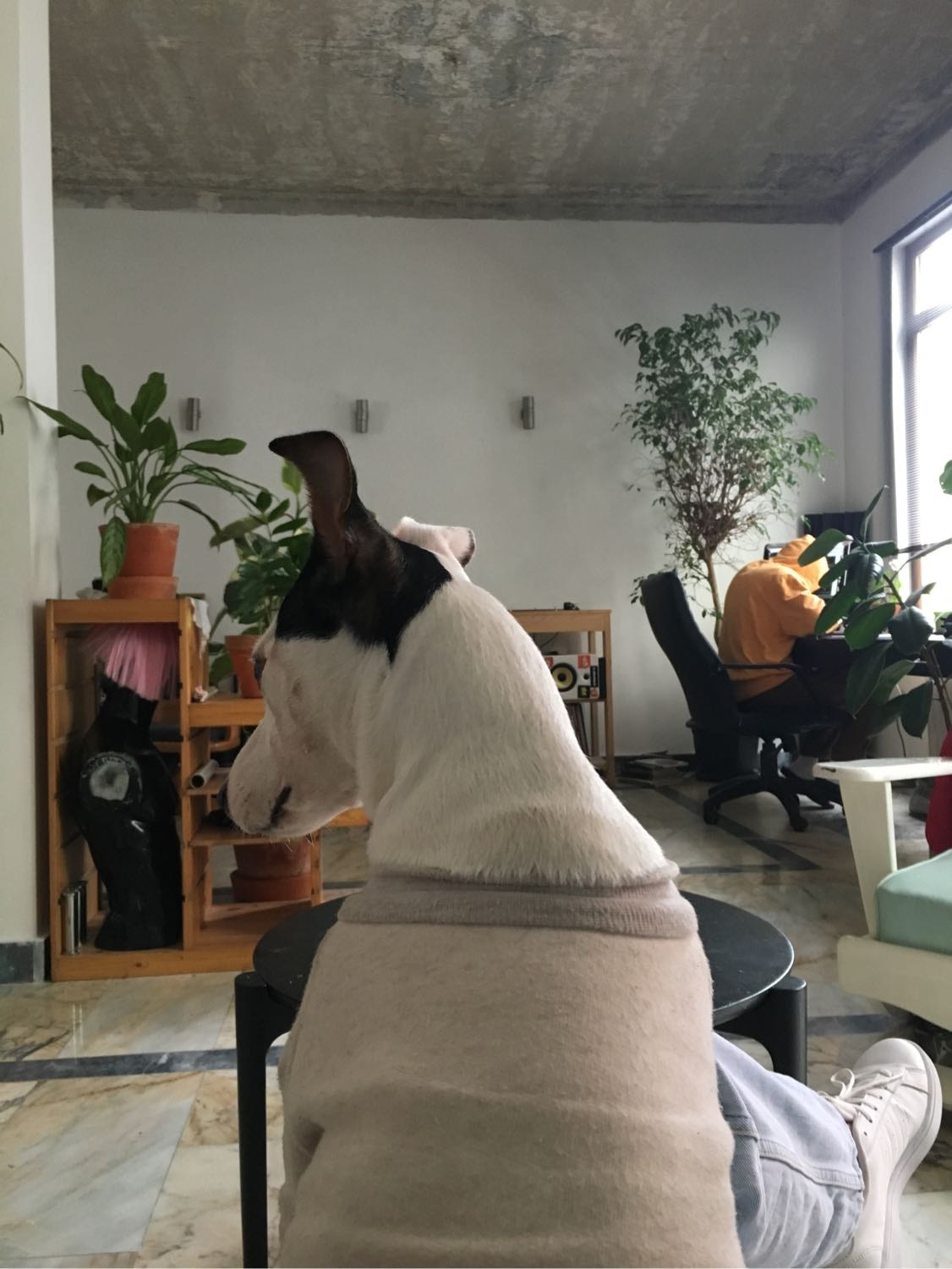 image-3