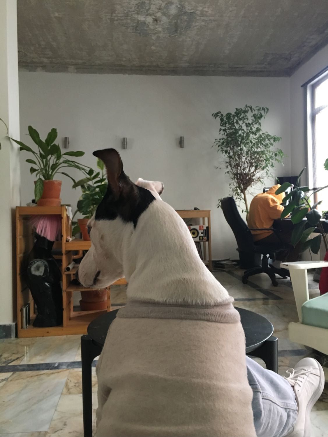 image-3
