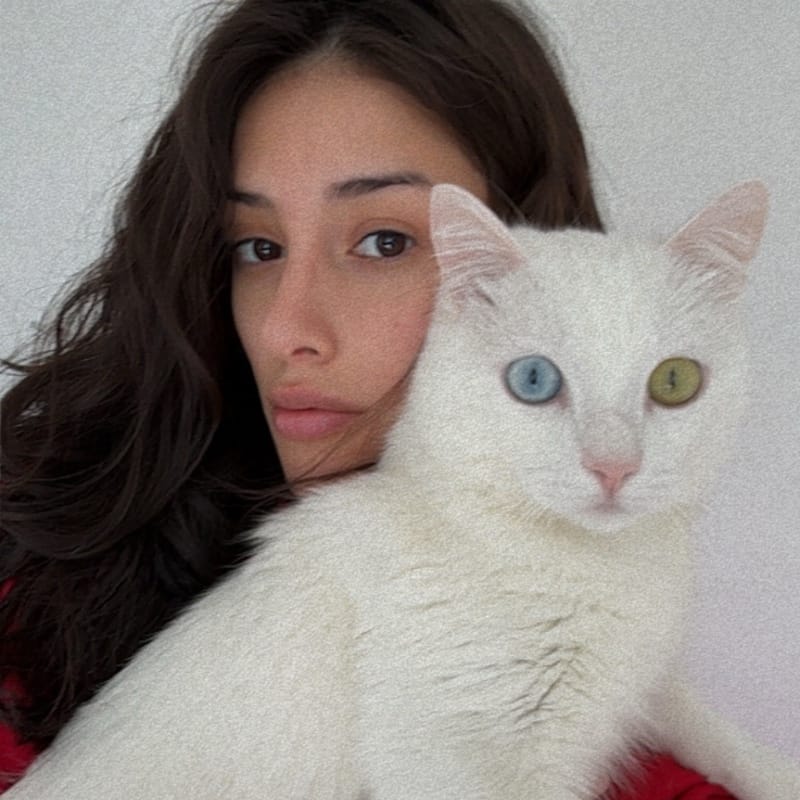 Estefania