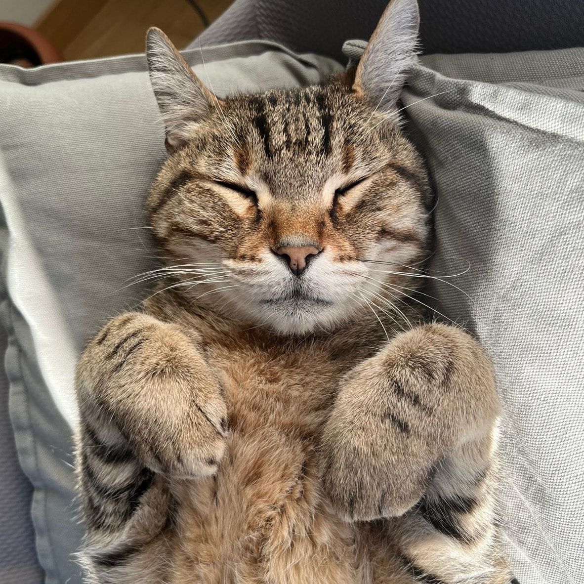 Otto