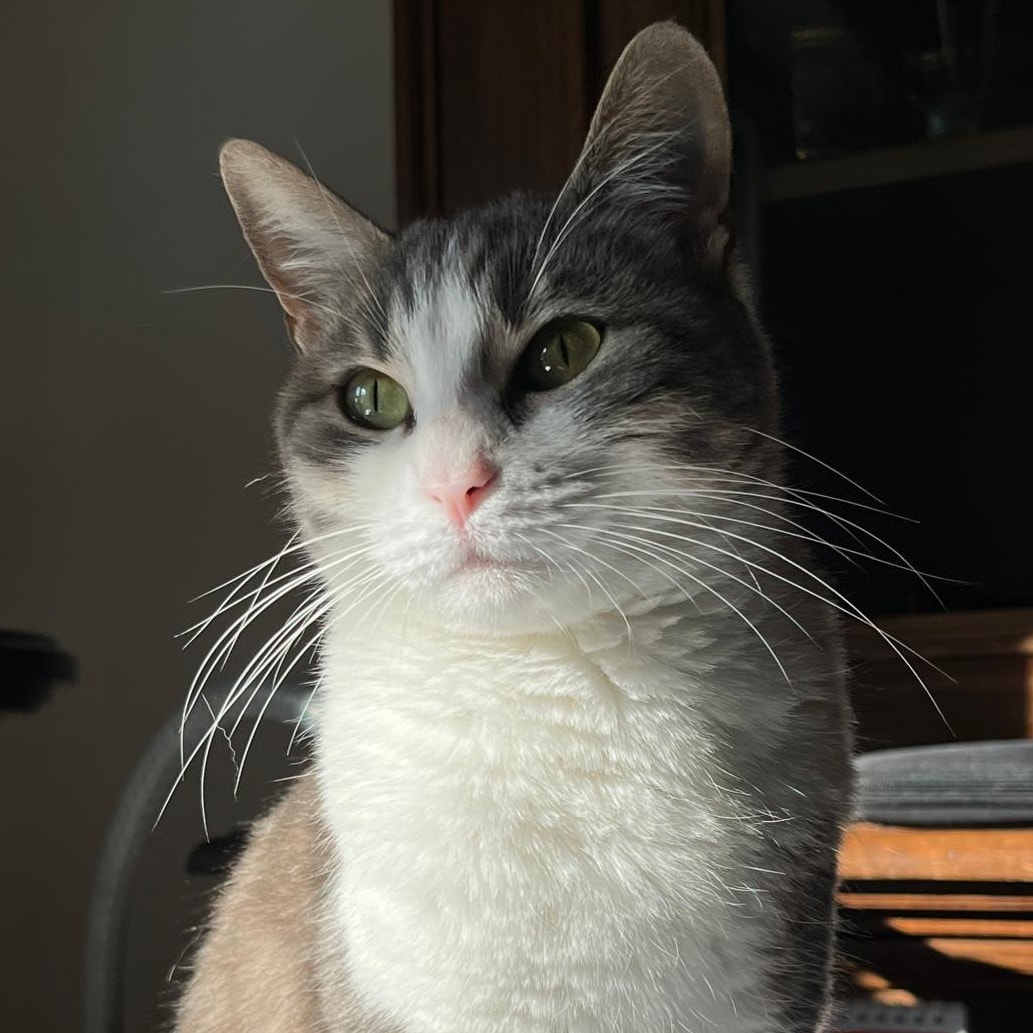 Wanda