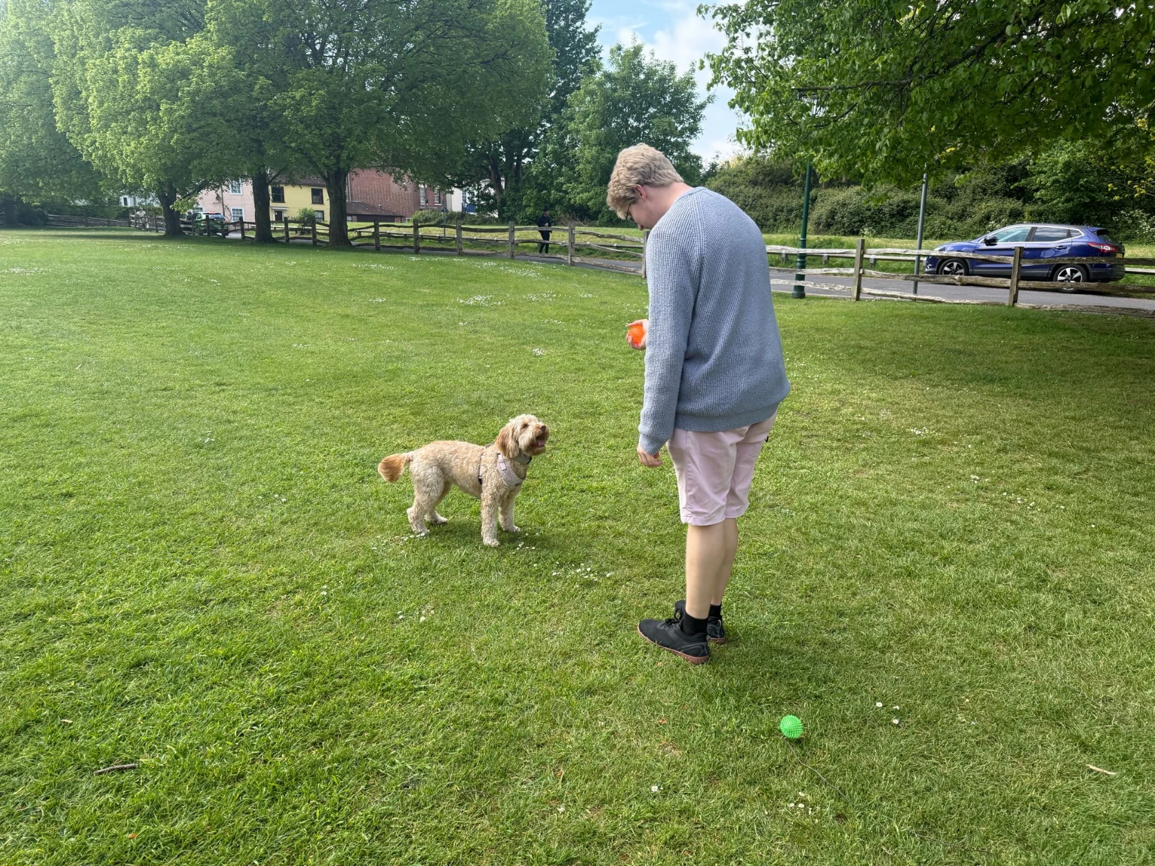 image-14