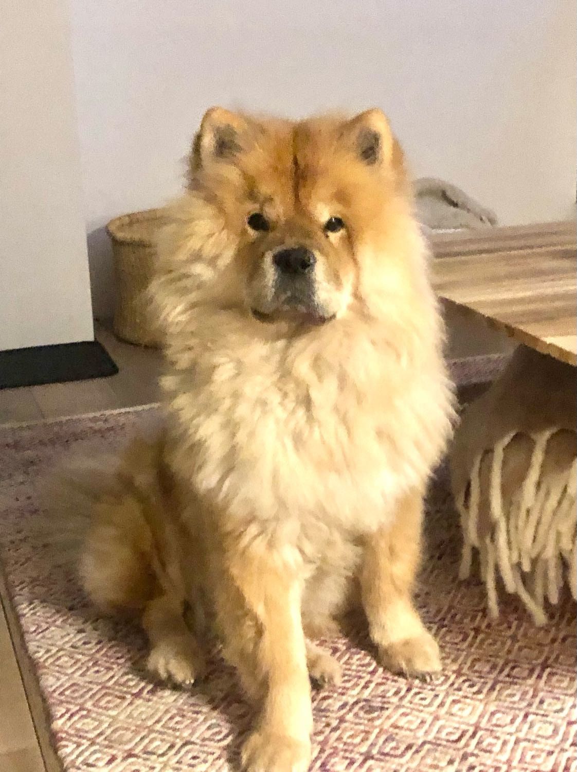image-32
