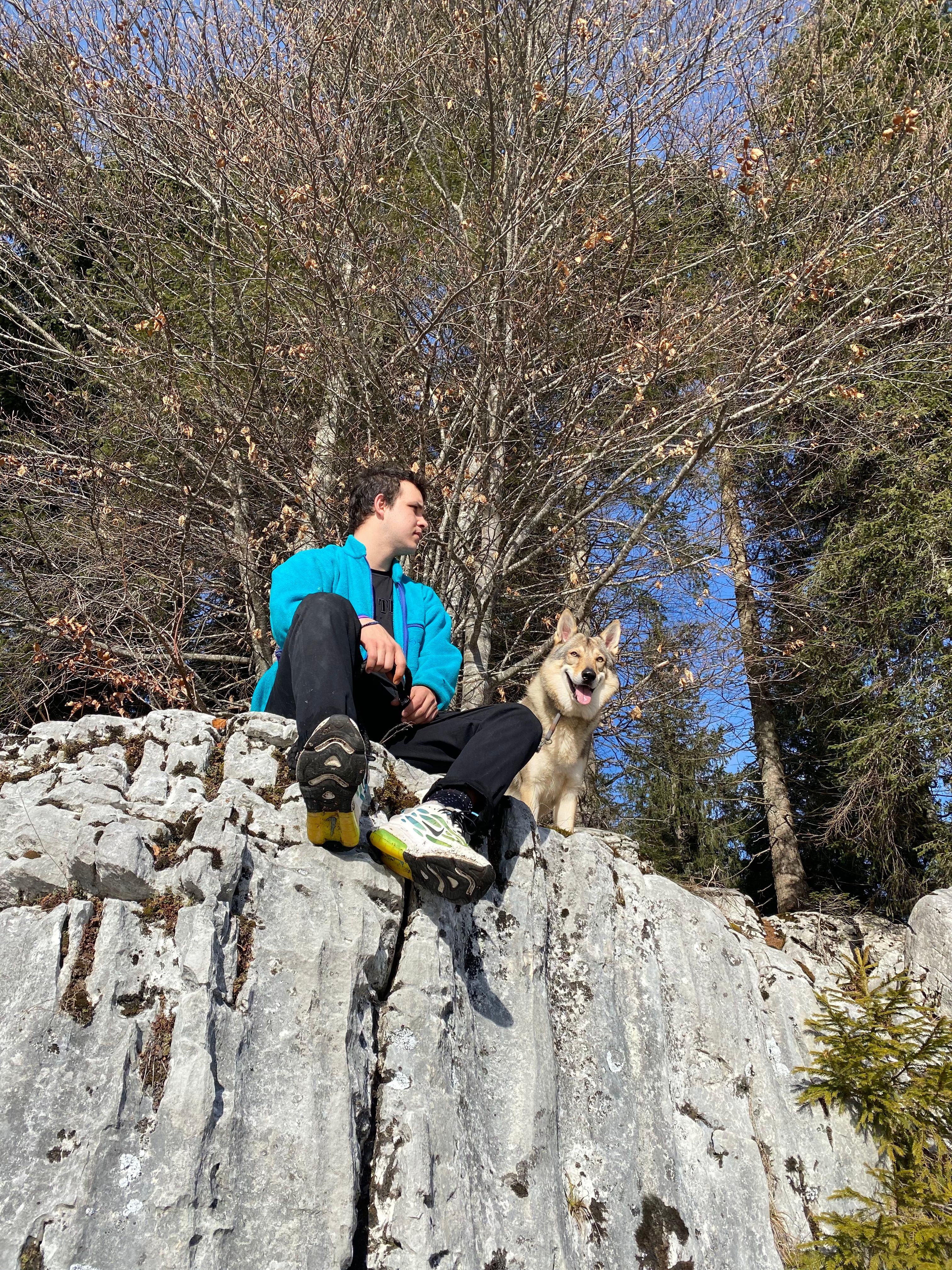 image-4
