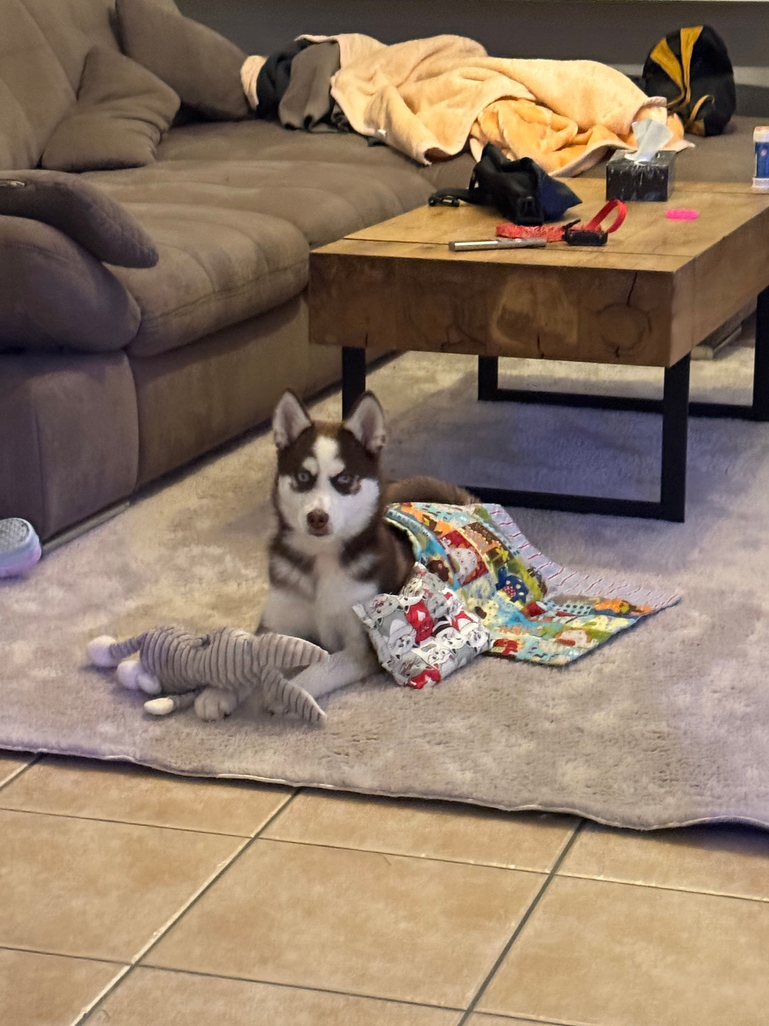 image-9