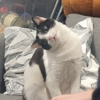 Sophie