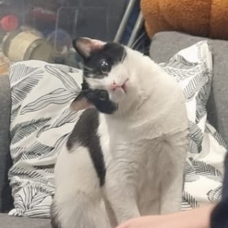 Sophie