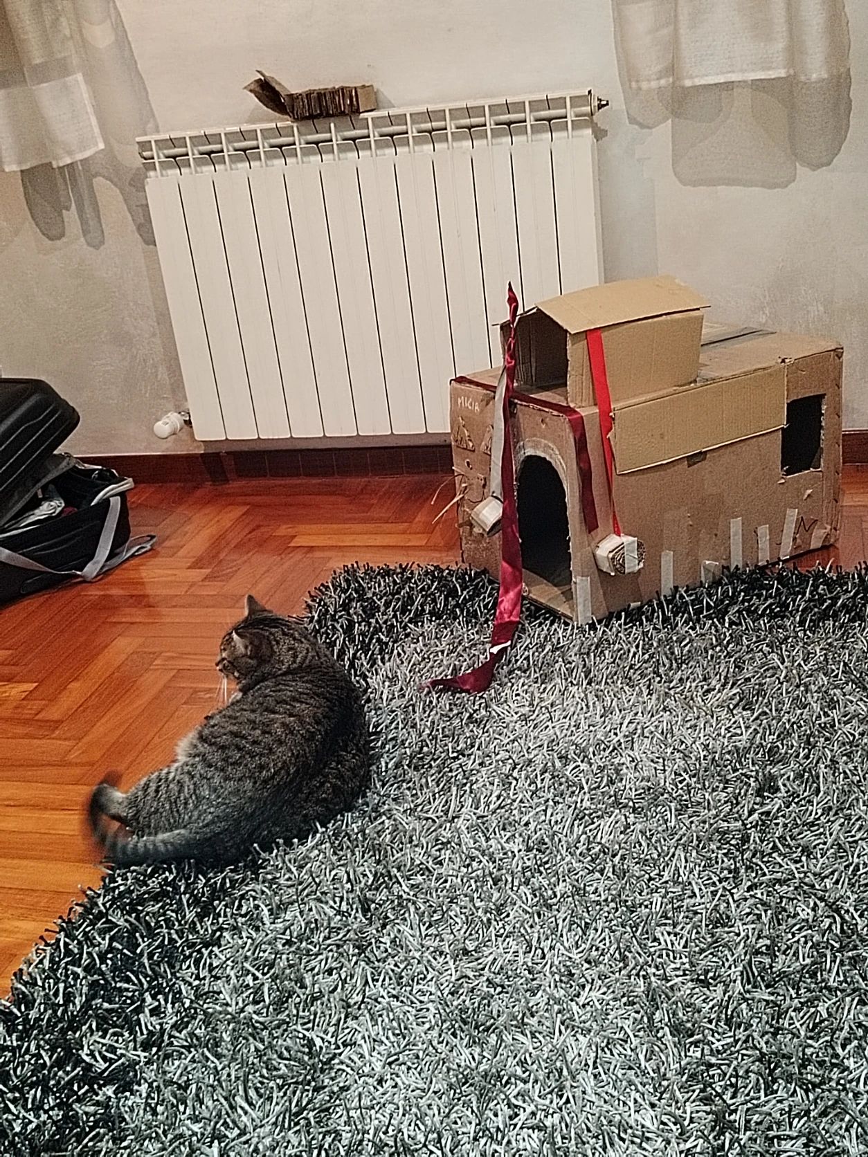image-9