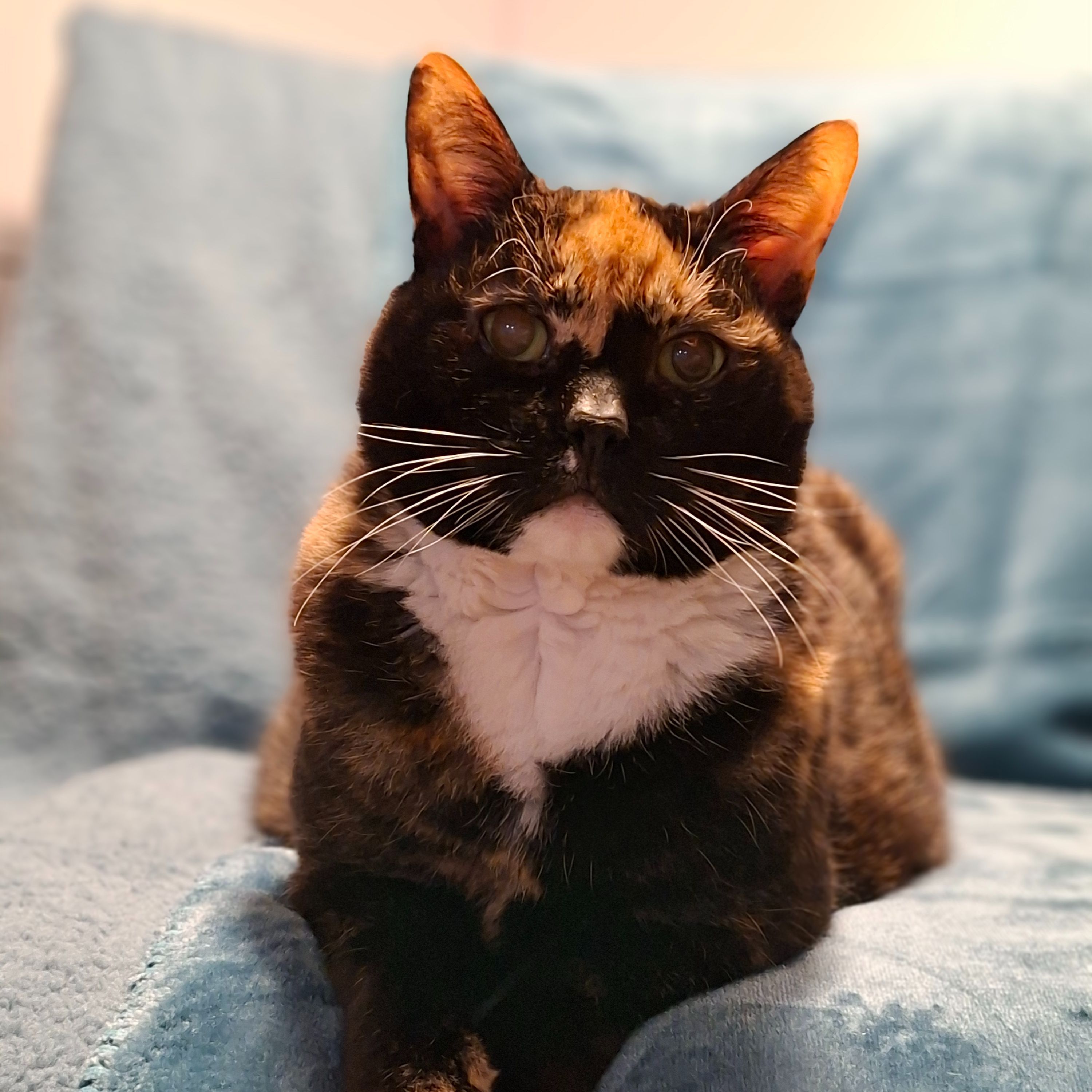 Kika