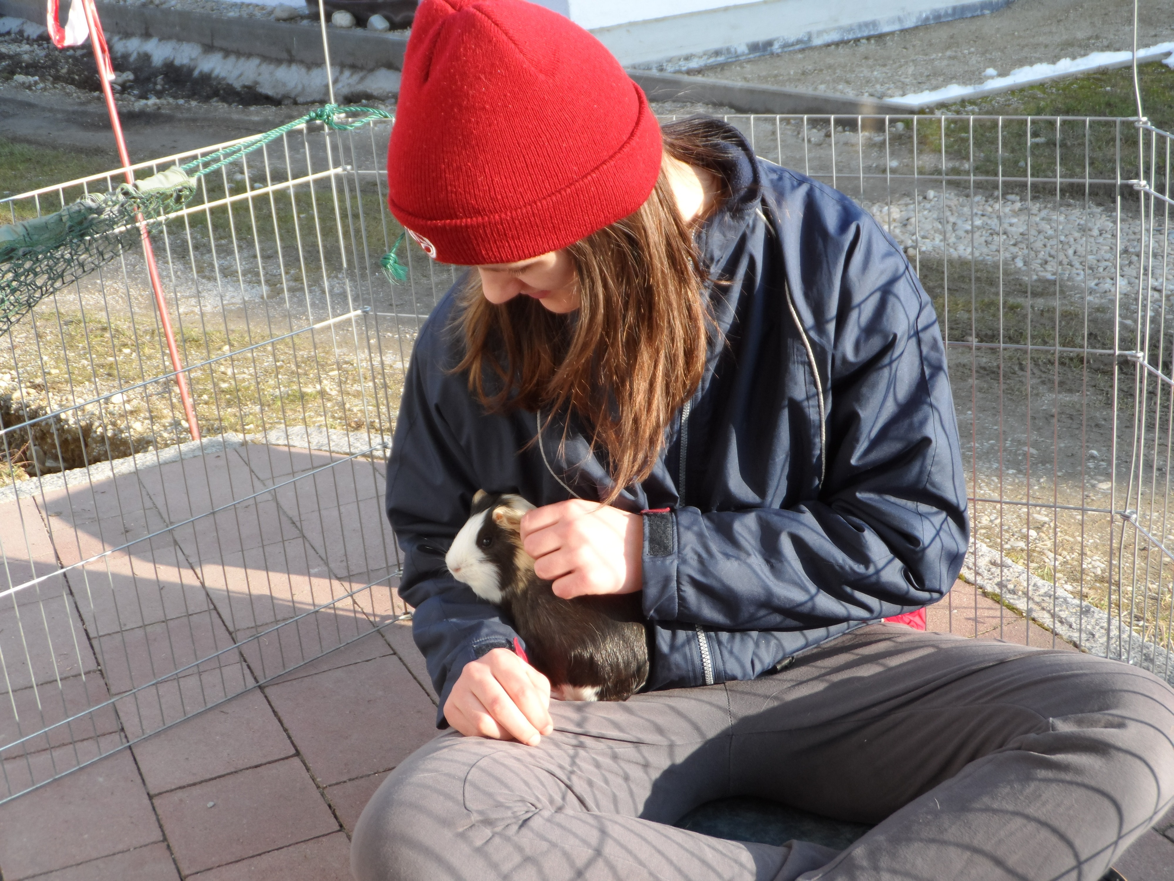 image-6
