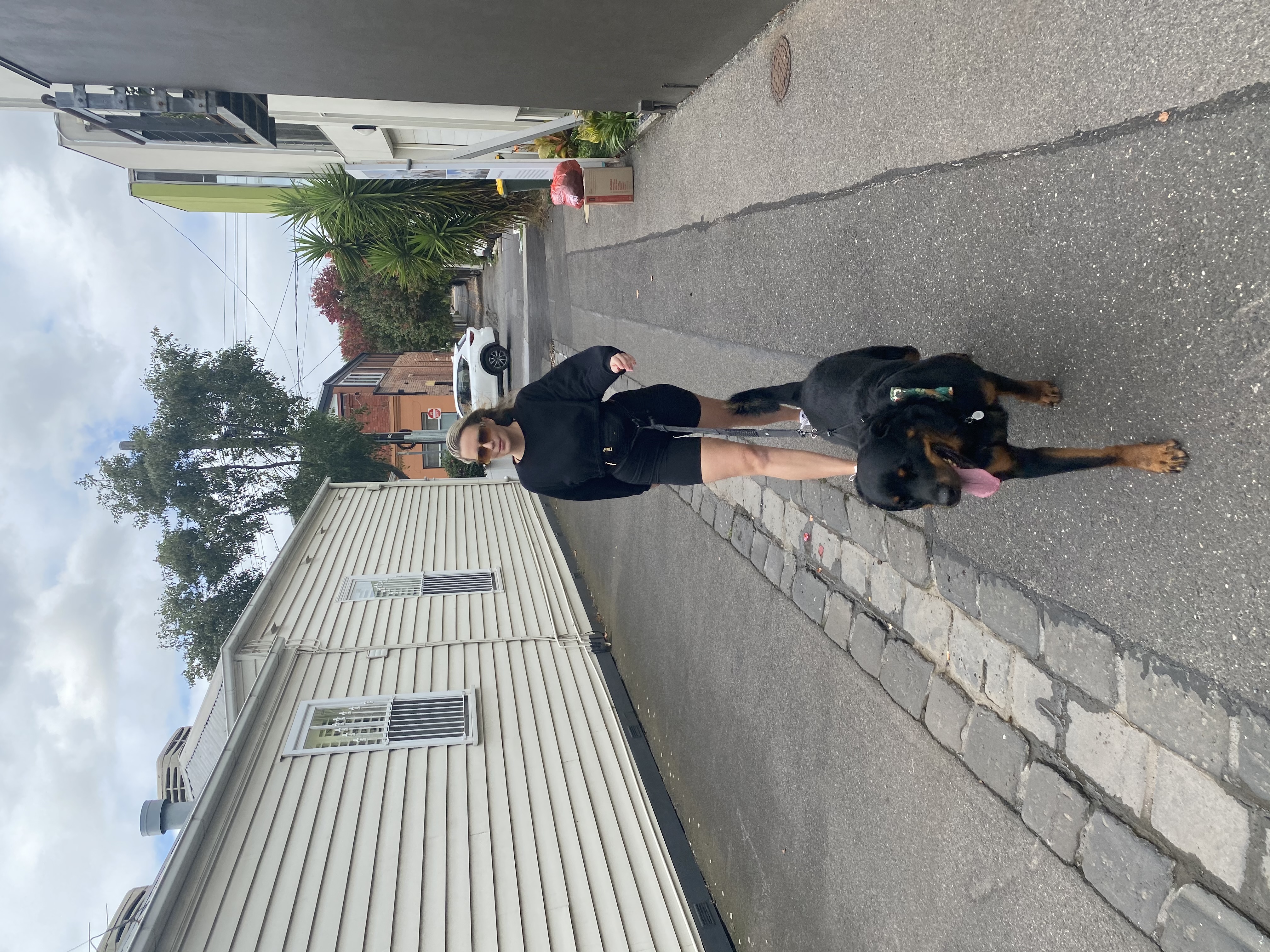 image-4