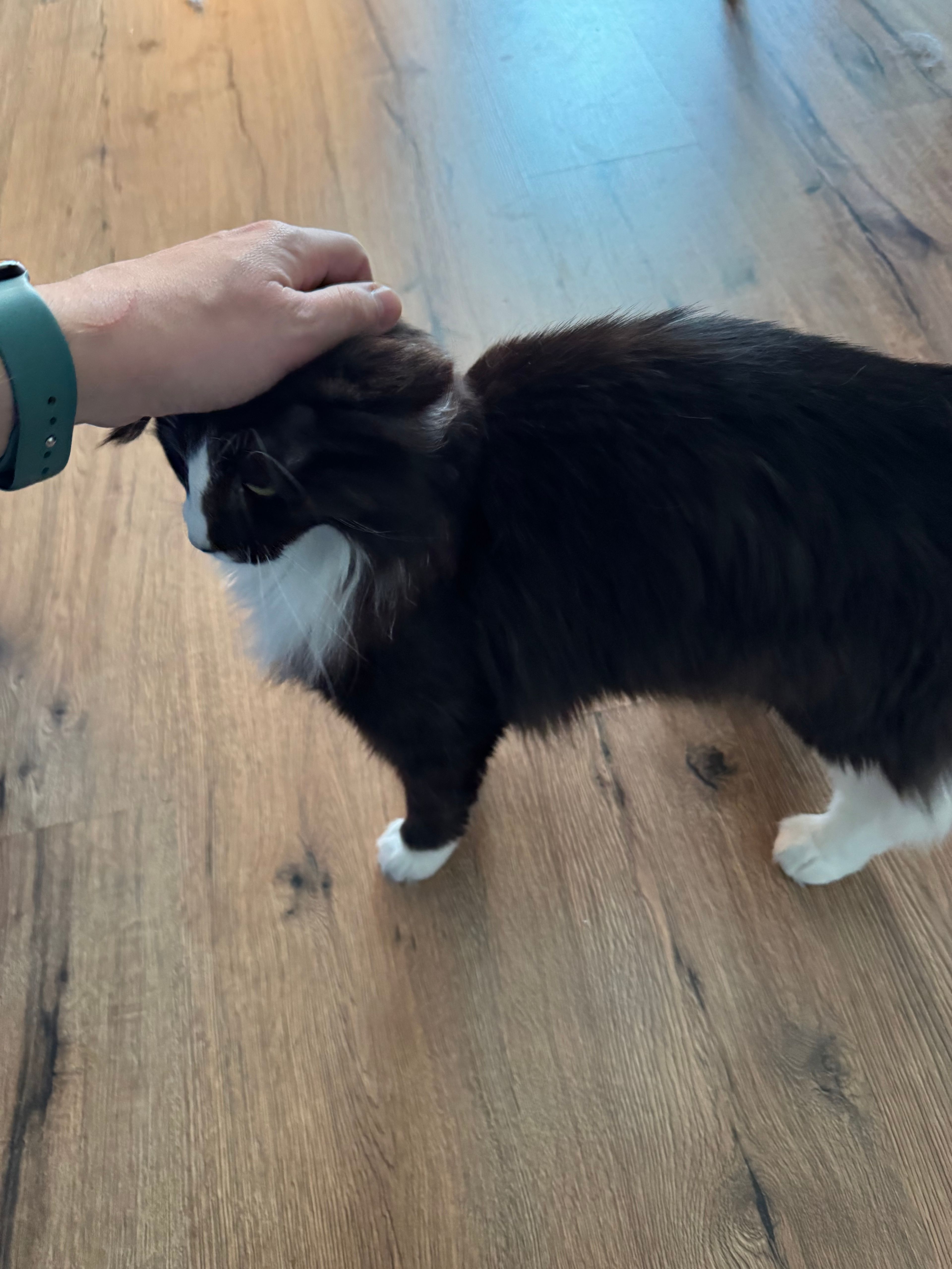 image-9