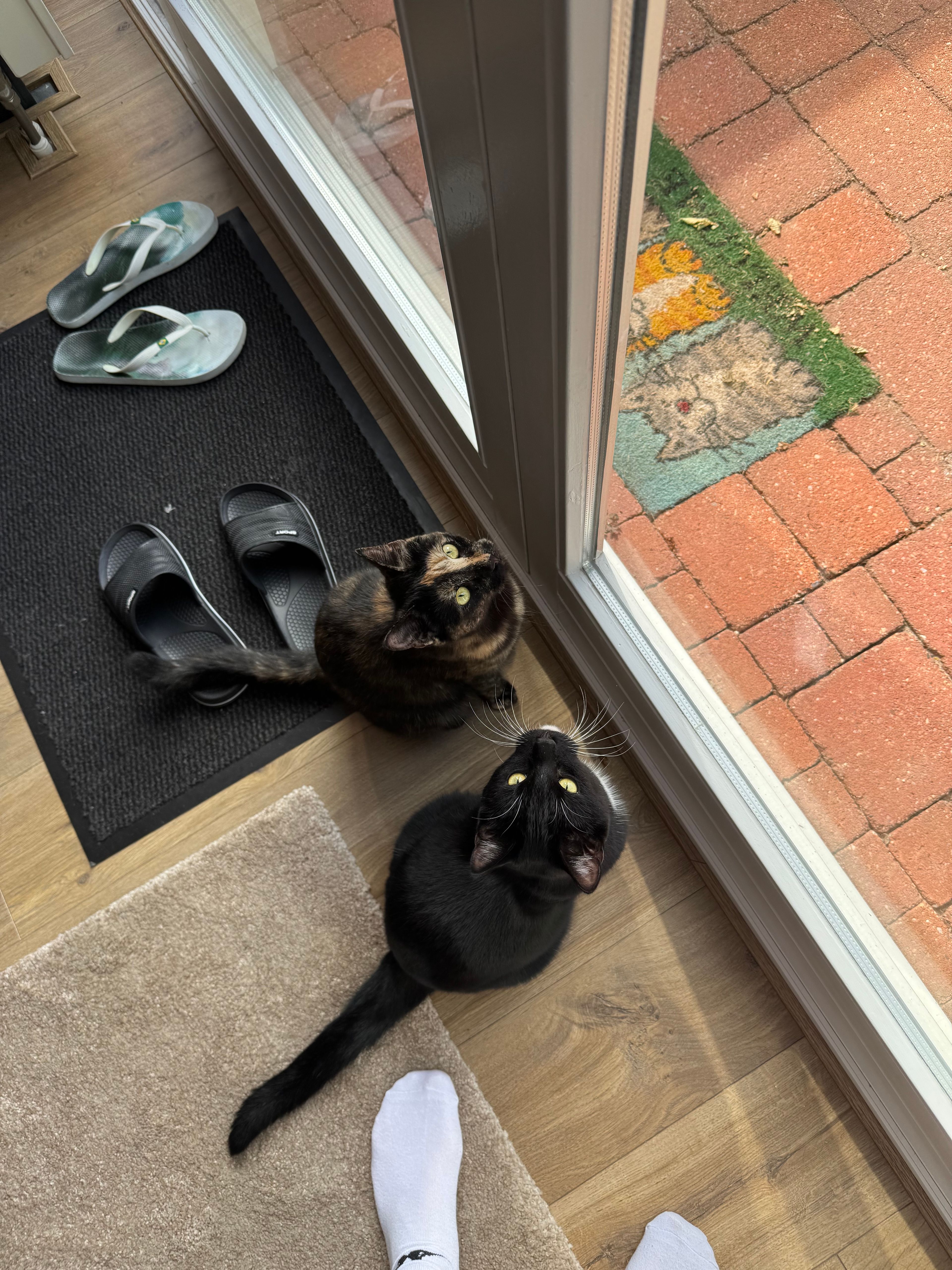 image-7