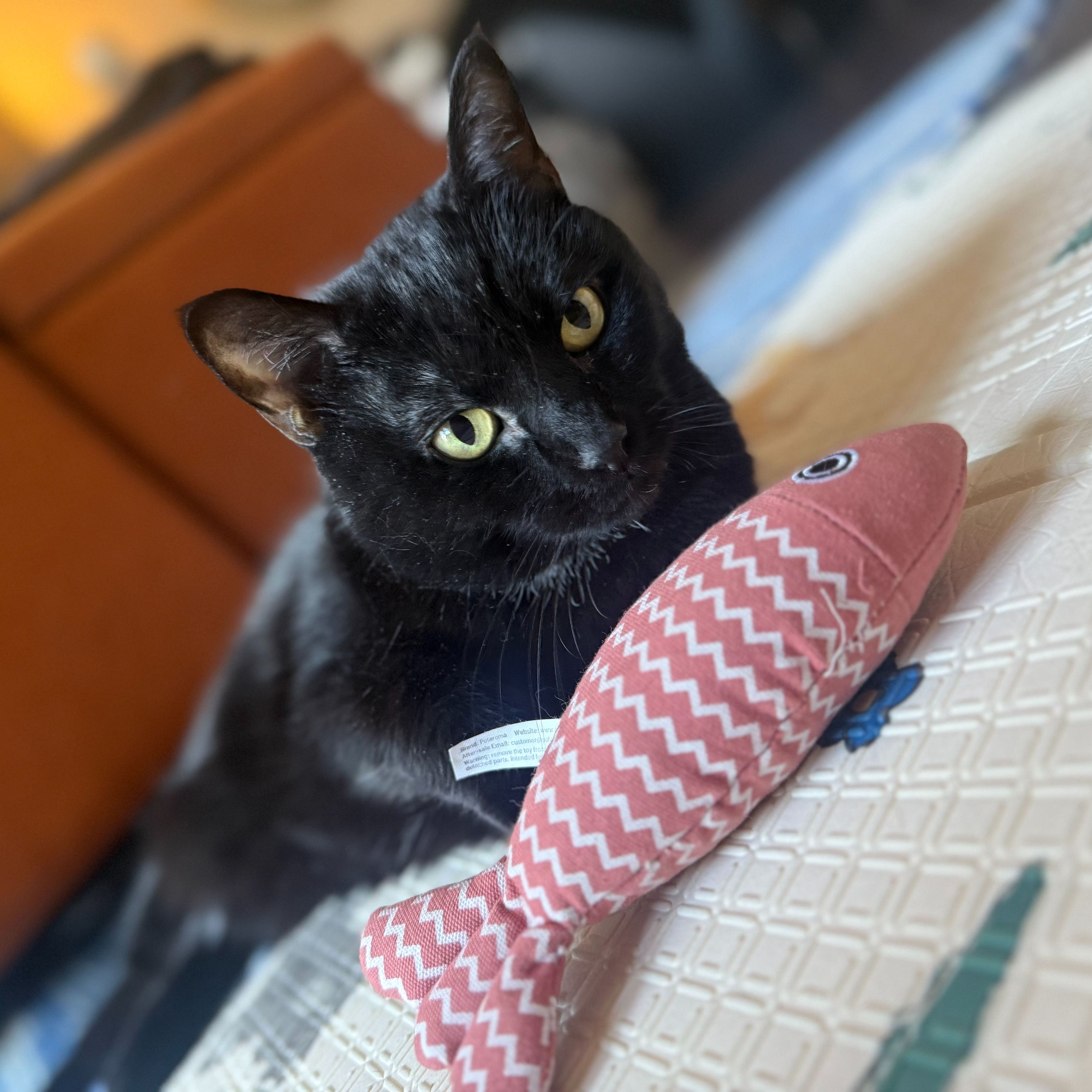 Mimi