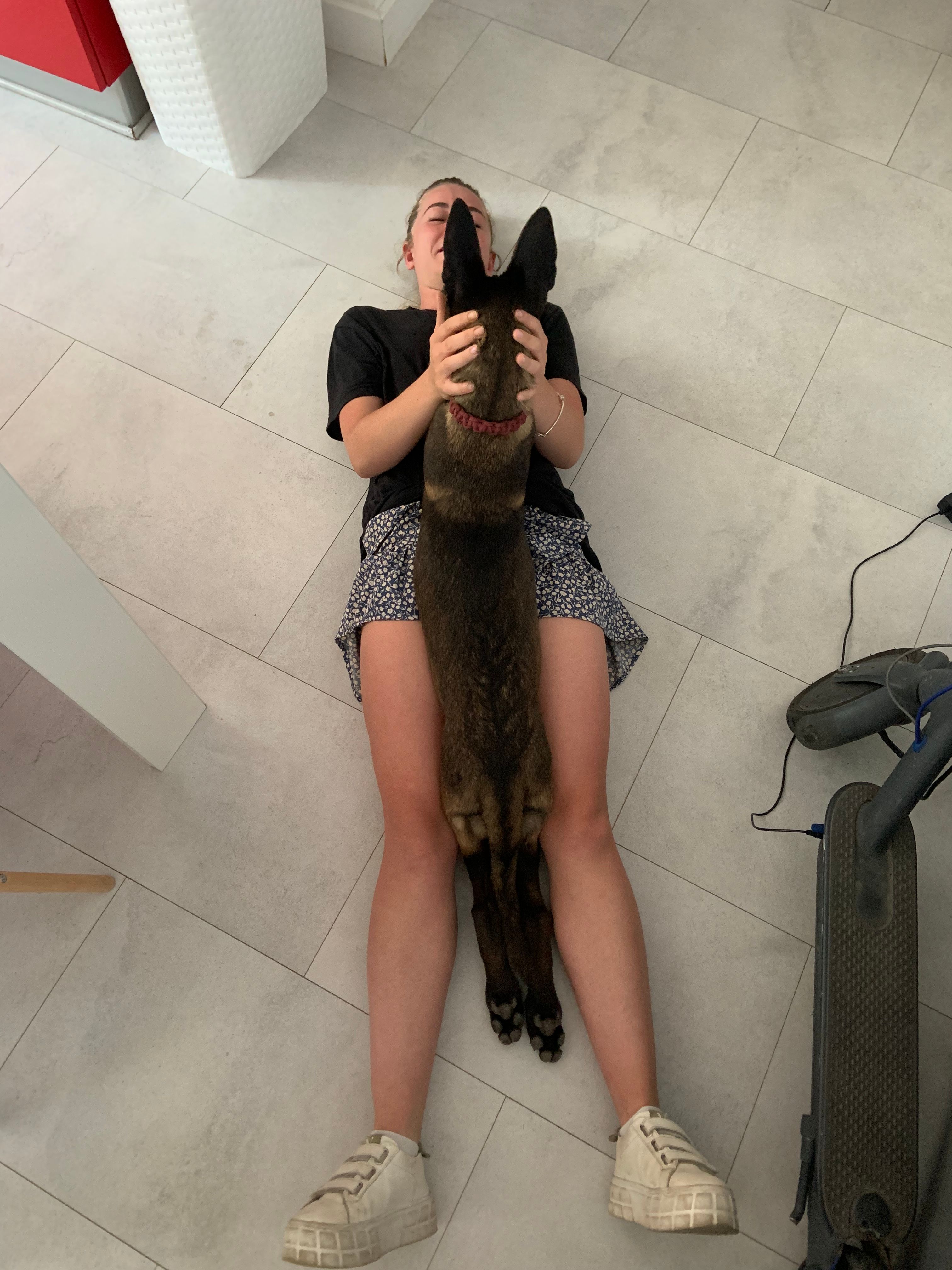 image-5