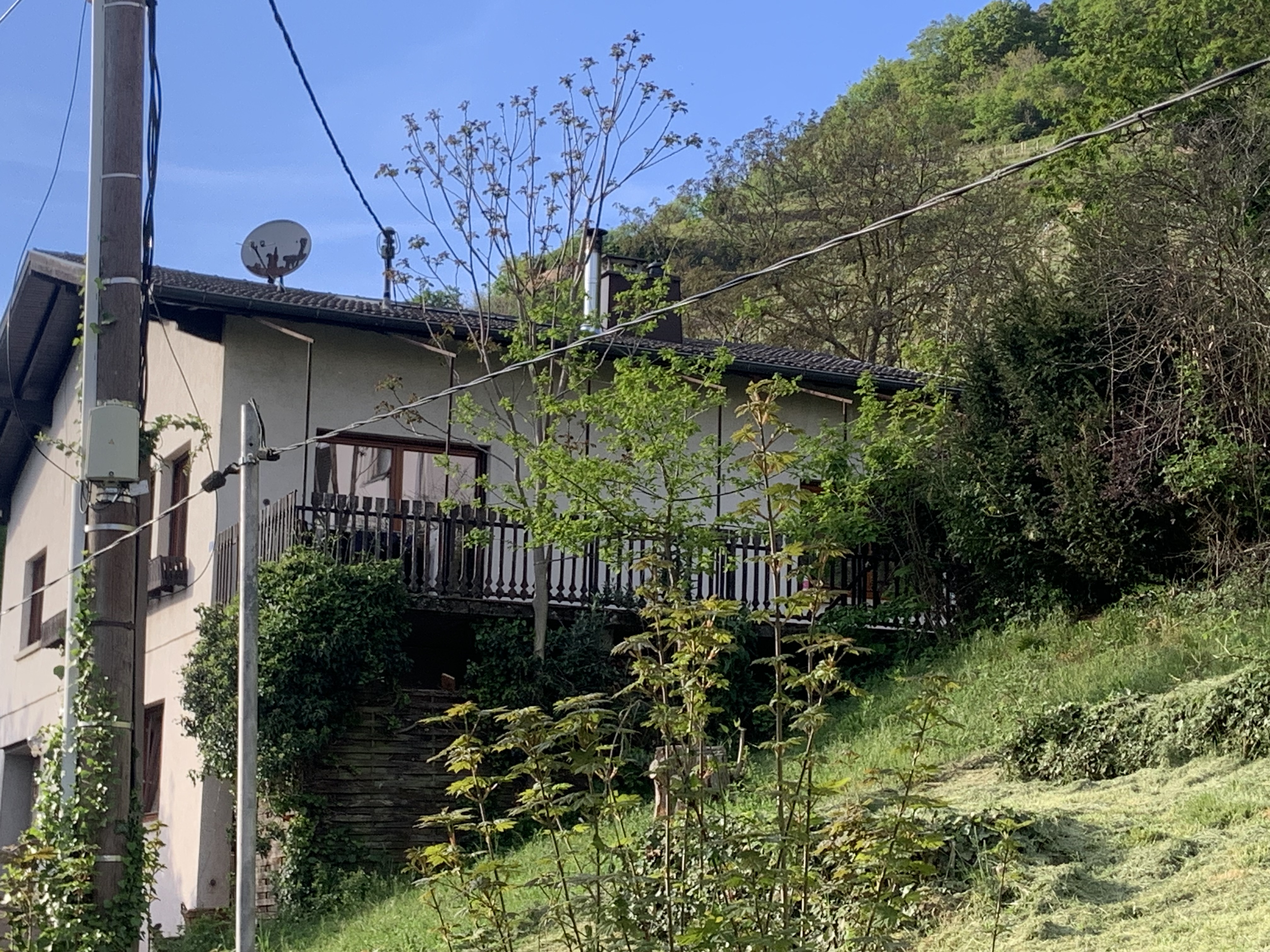 image-19