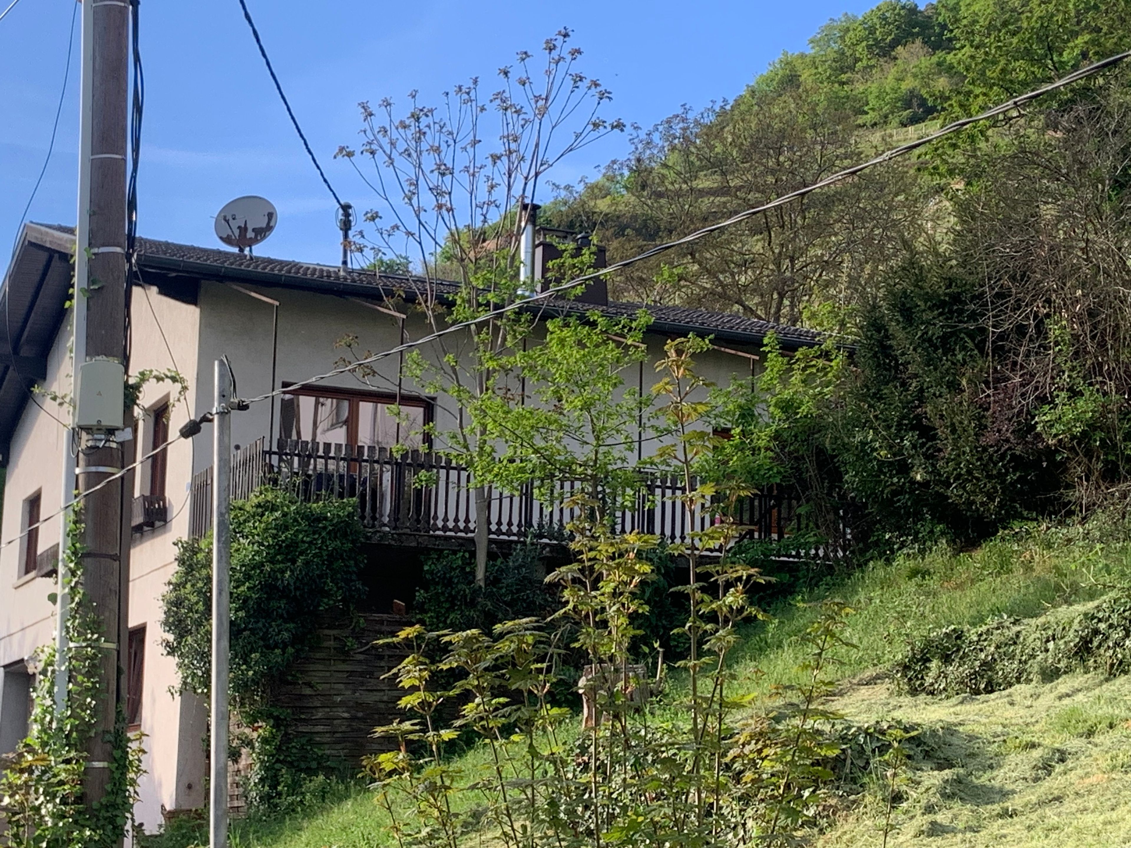 image-19