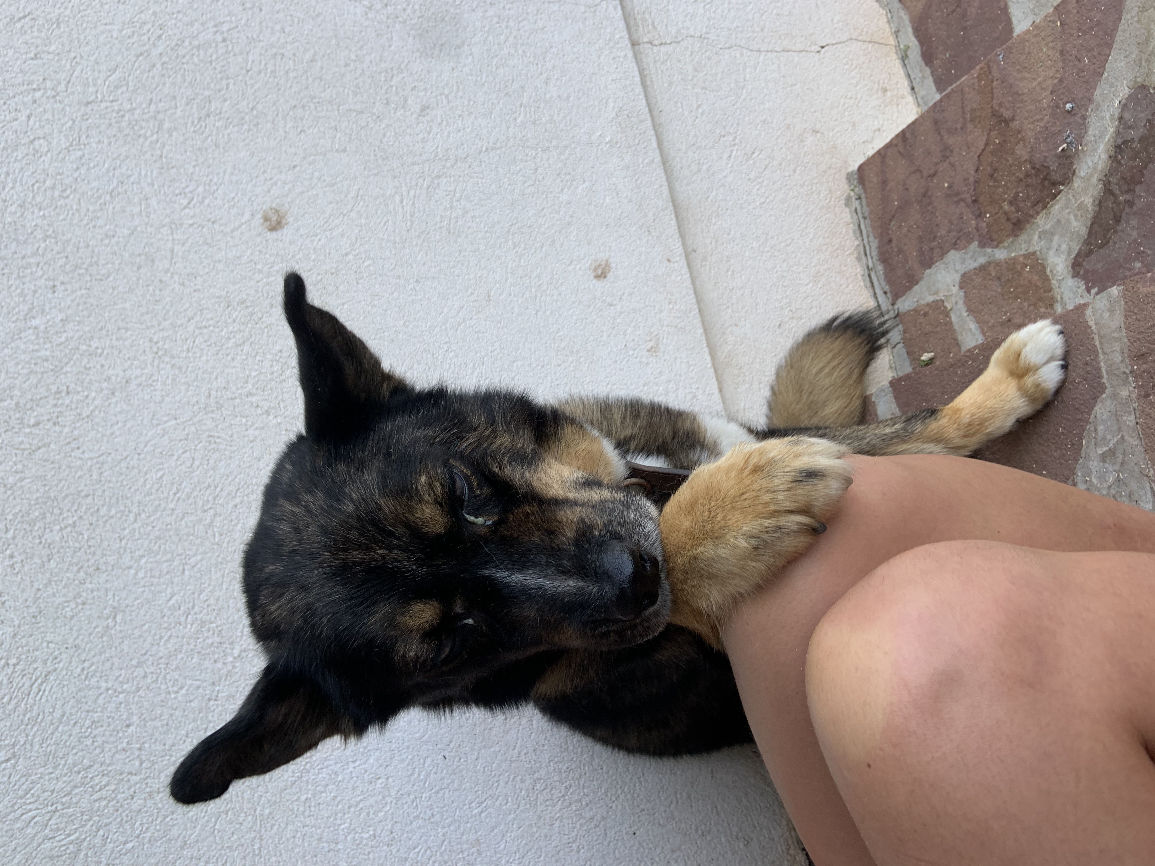 image-12
