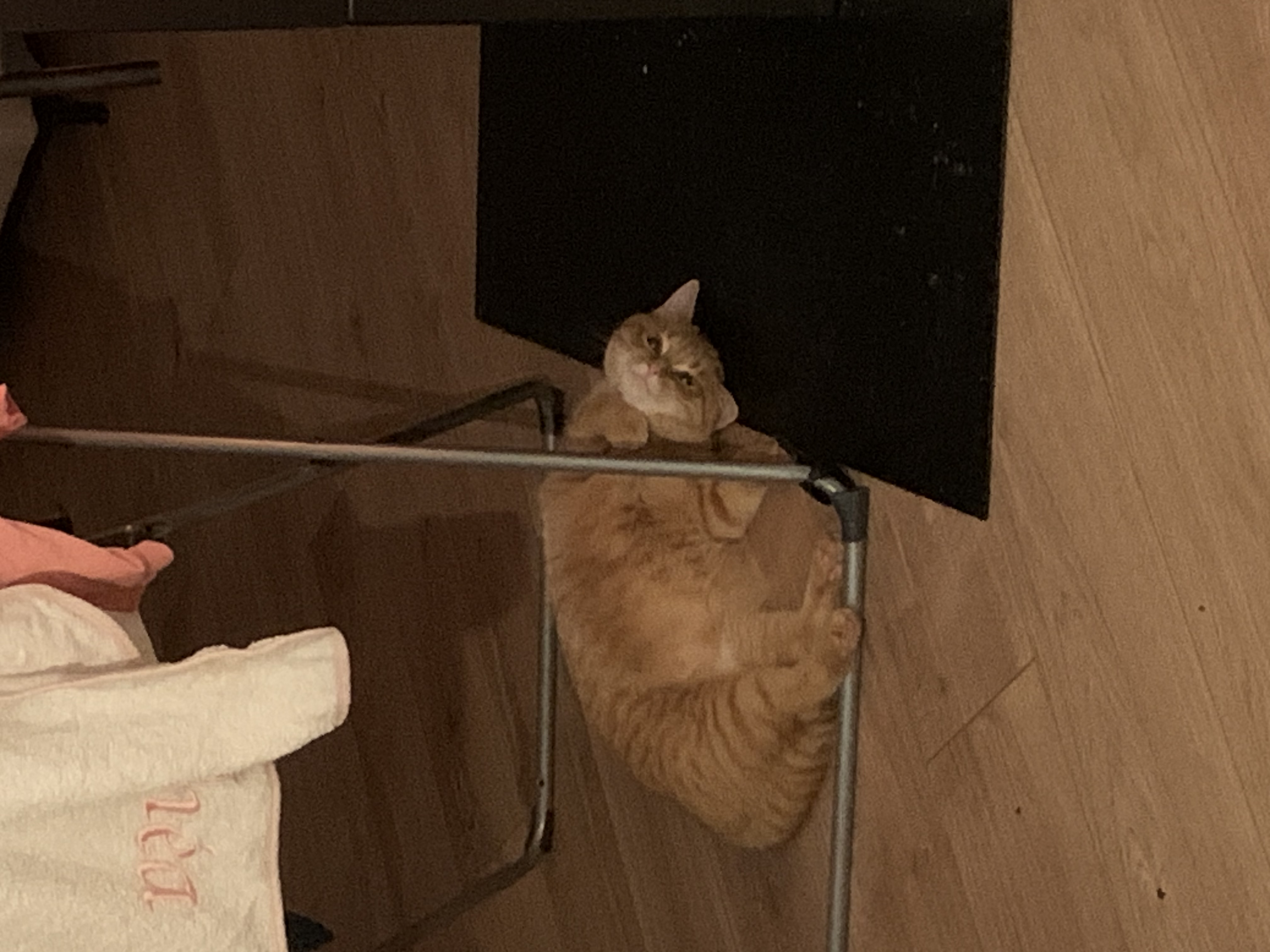 image-15