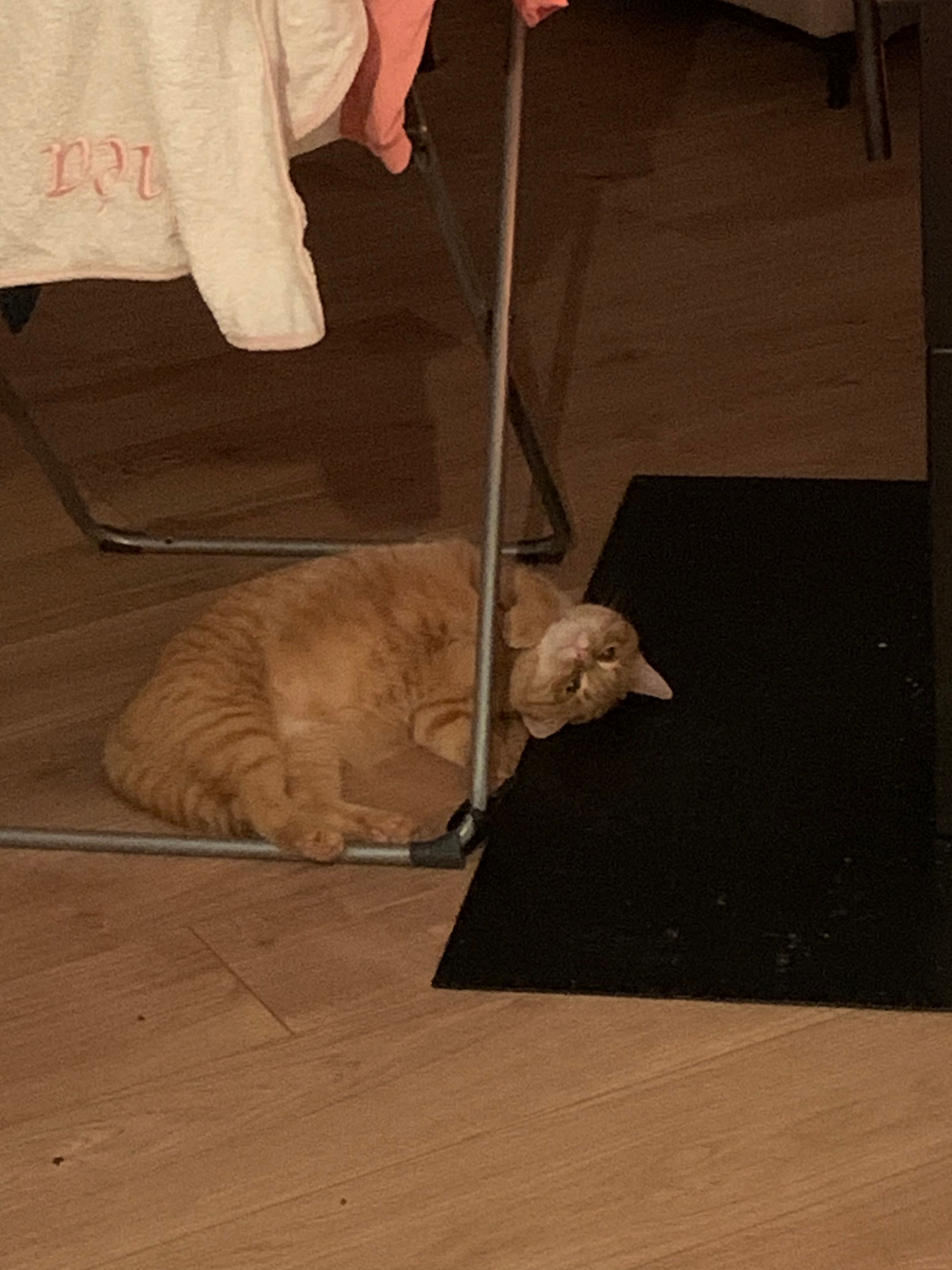 image-15