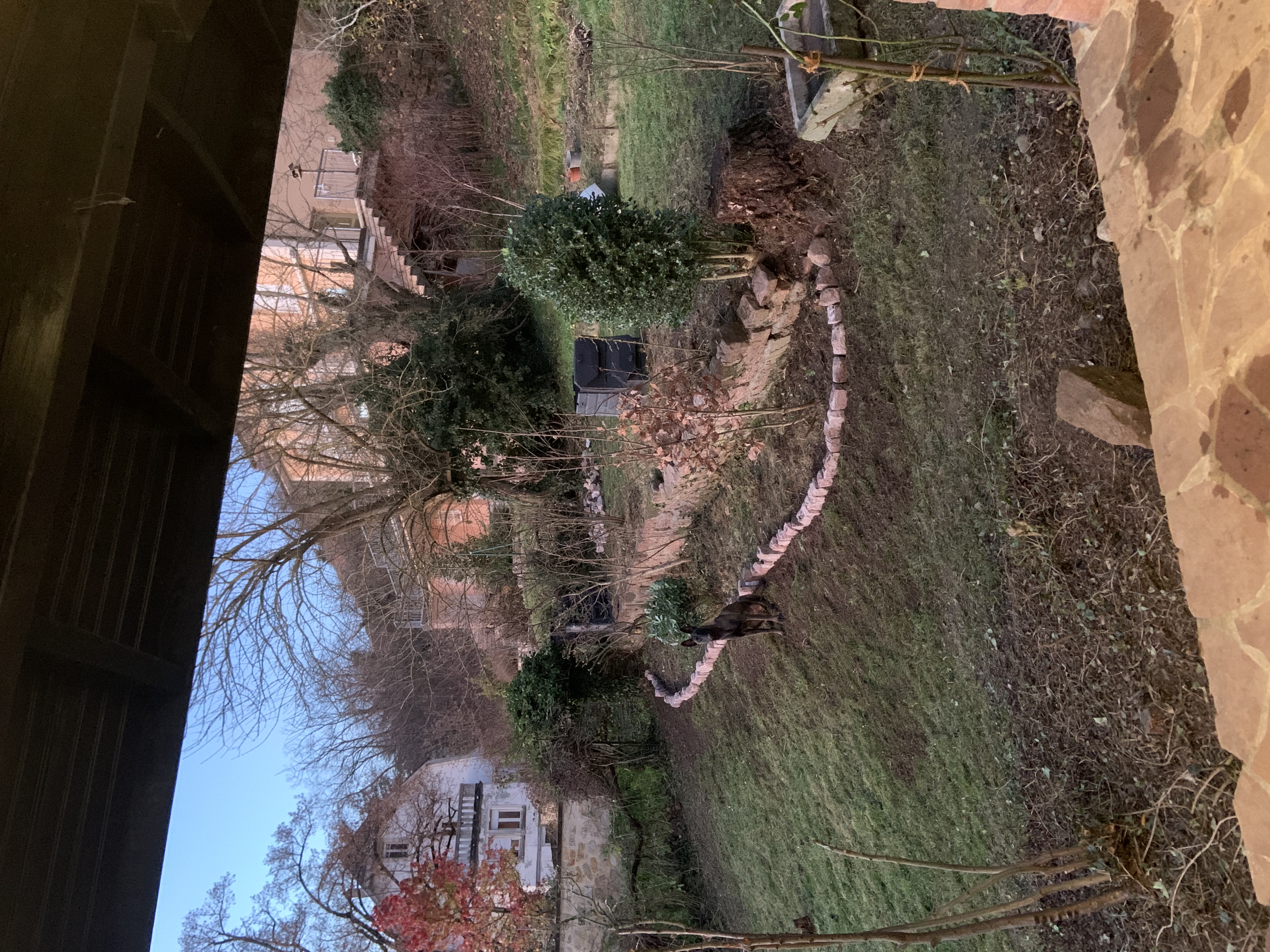 image-20
