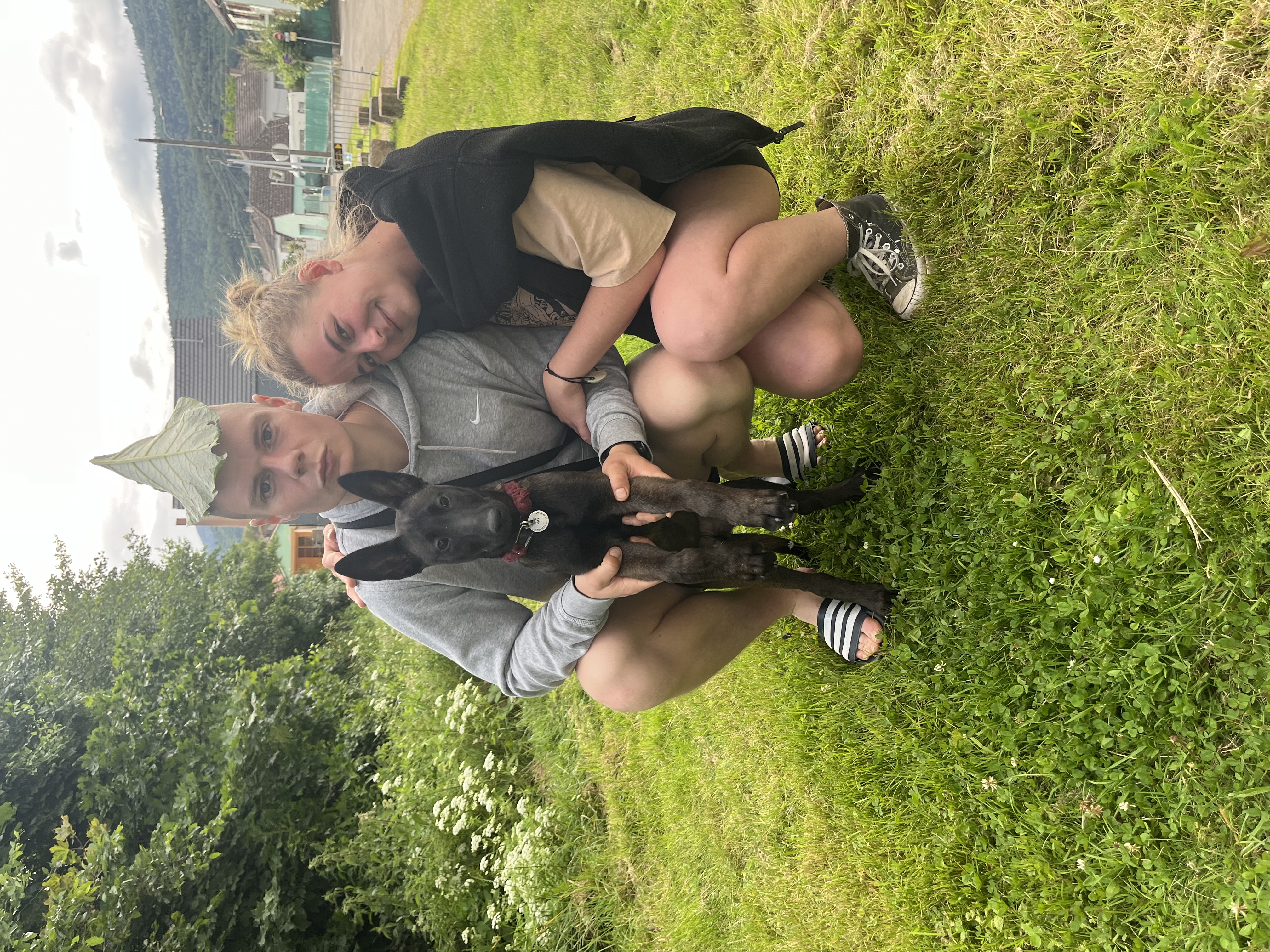 image-1