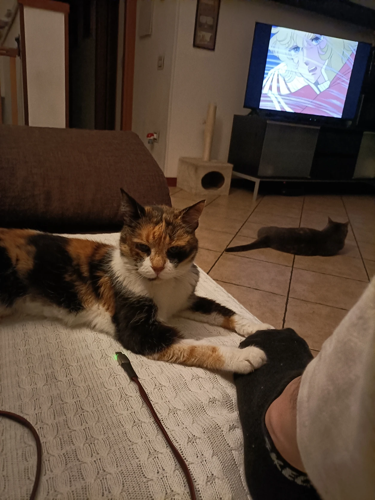 image-10